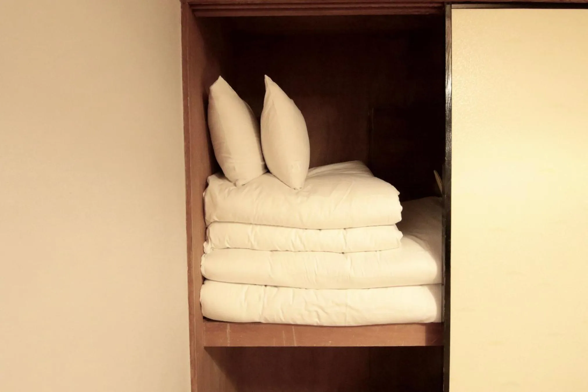 wardrobe in Hakata apartment