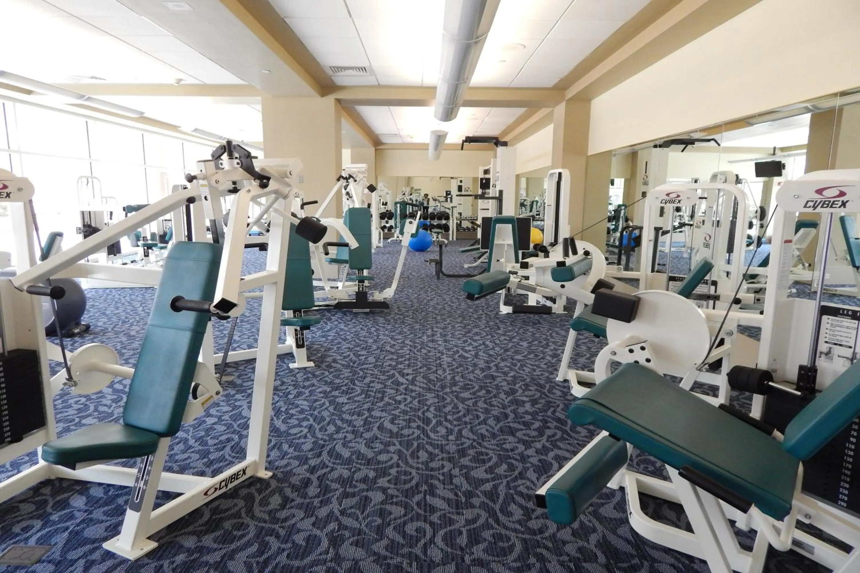Sauna in Moody Gardens Hotel Spa and Convention Center