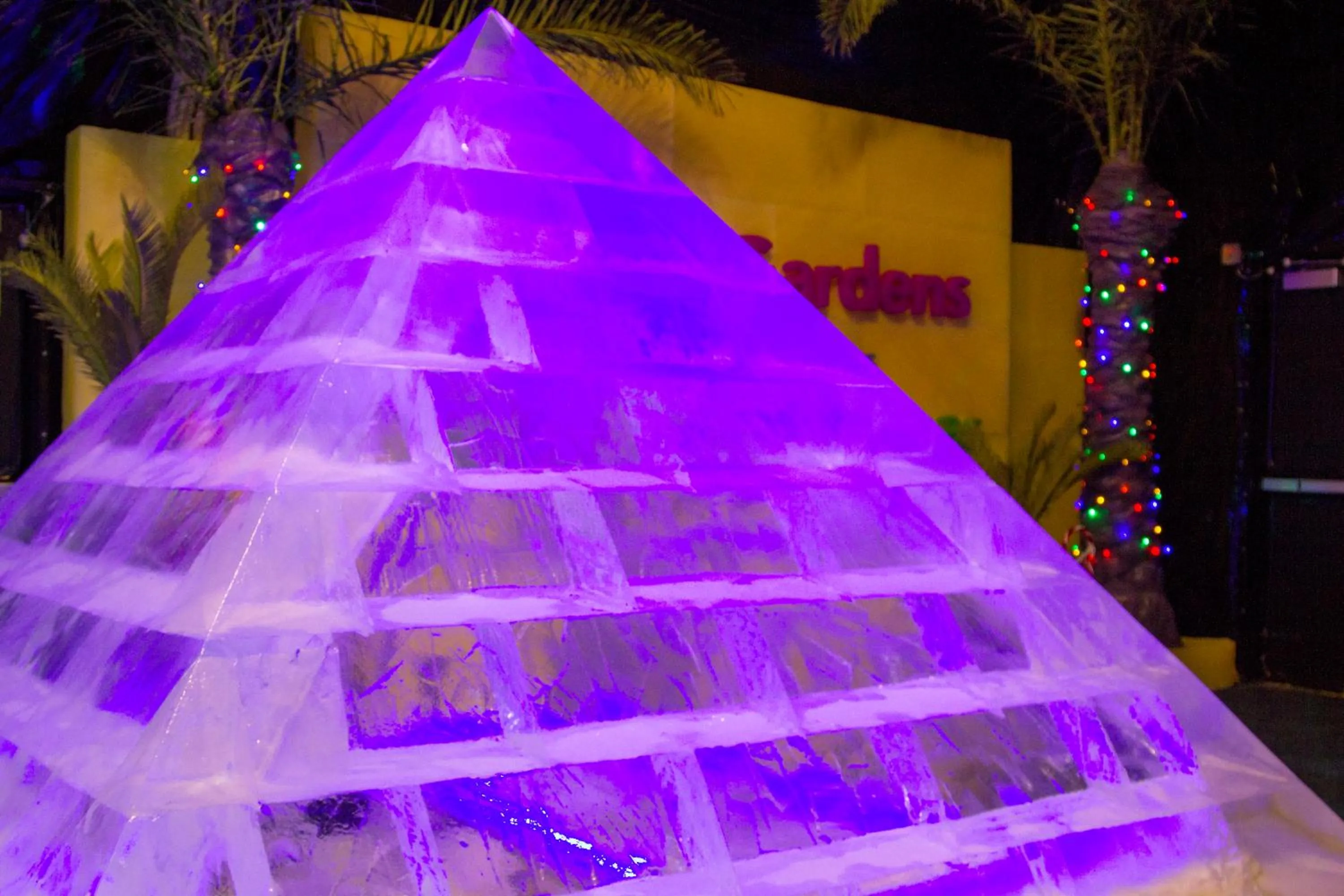 Night in Moody Gardens Hotel Spa and Convention Center