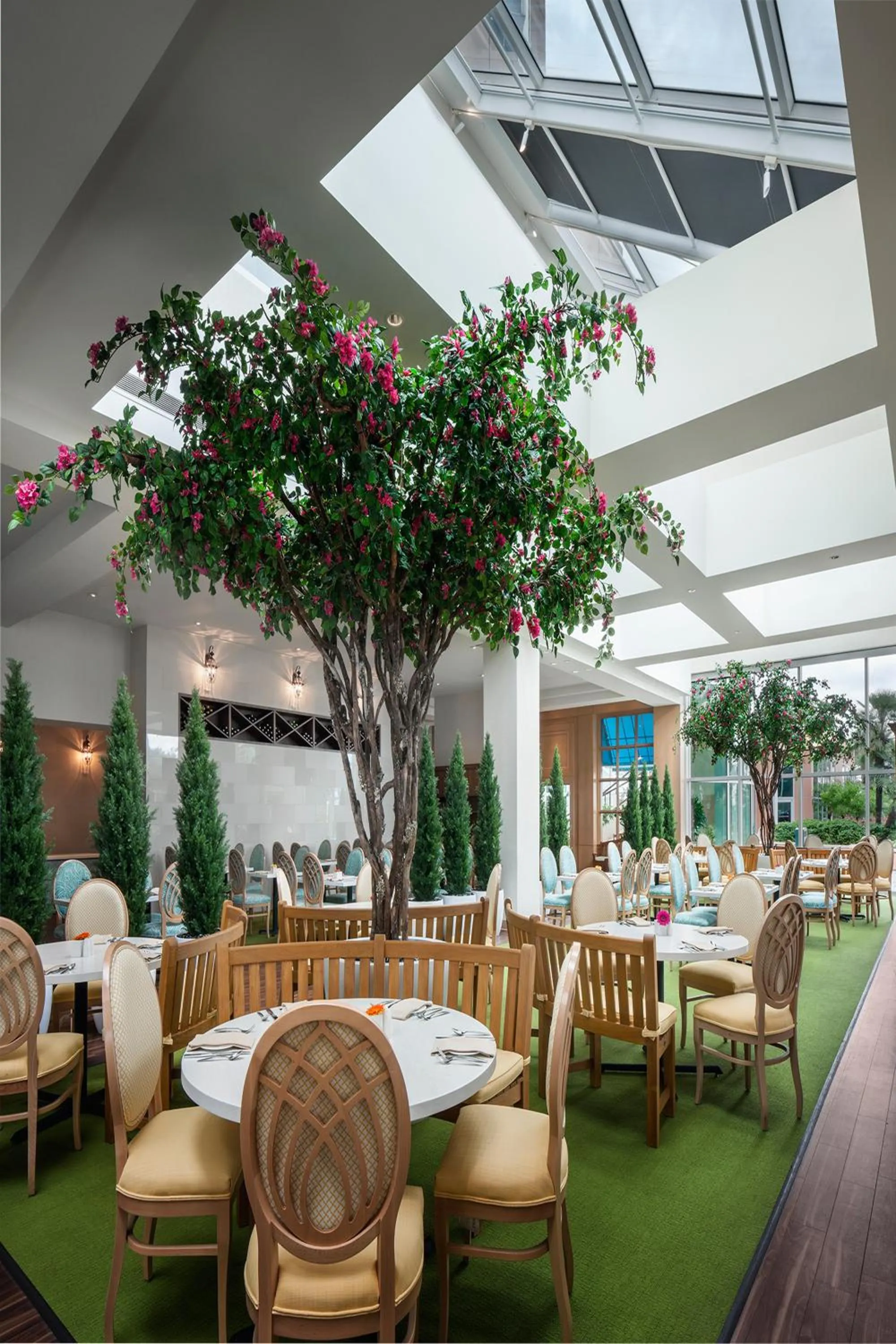 Restaurant/places to eat in Moody Gardens Hotel Spa and Convention Center