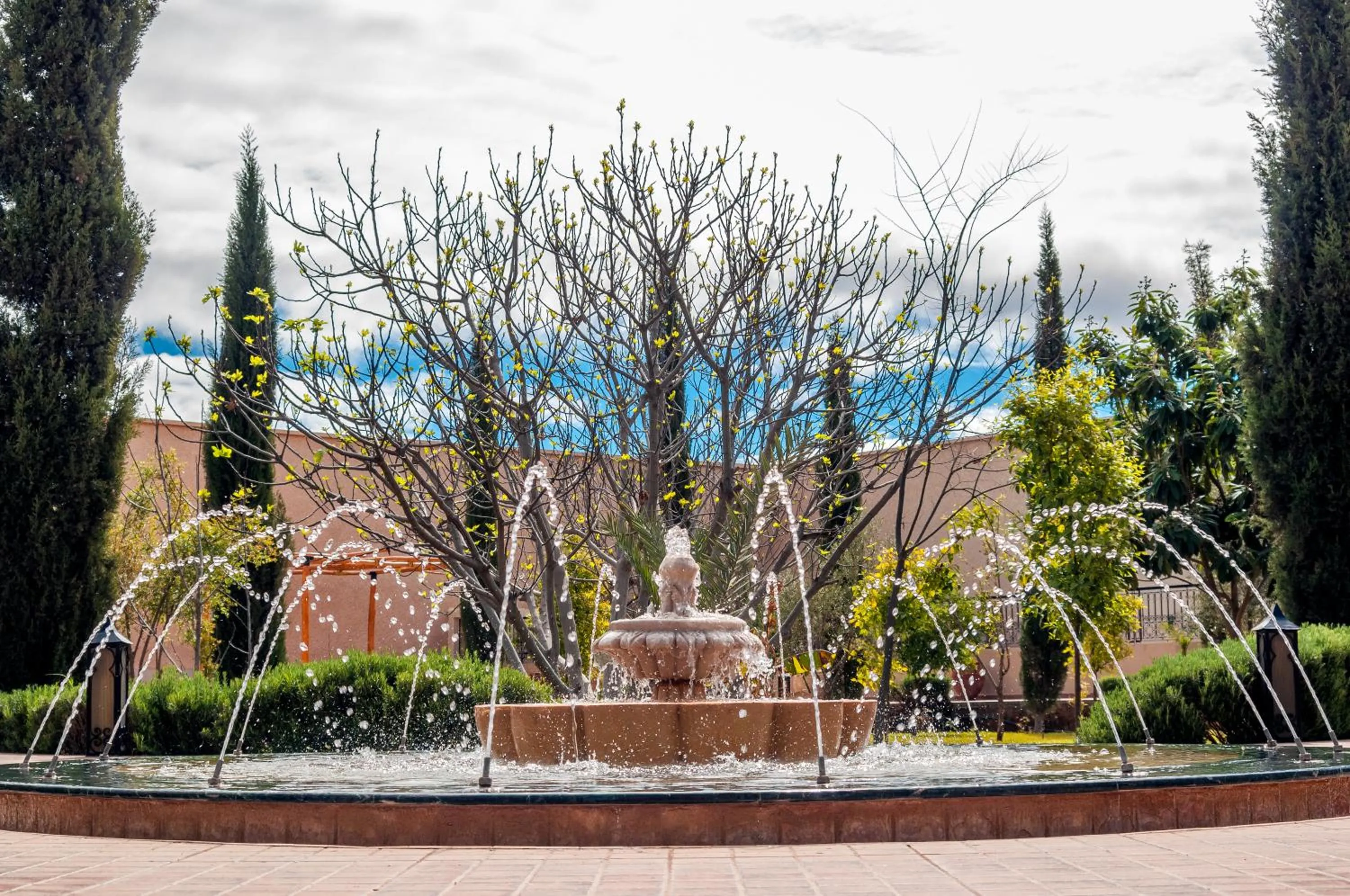 Garden in Riad Sougtani