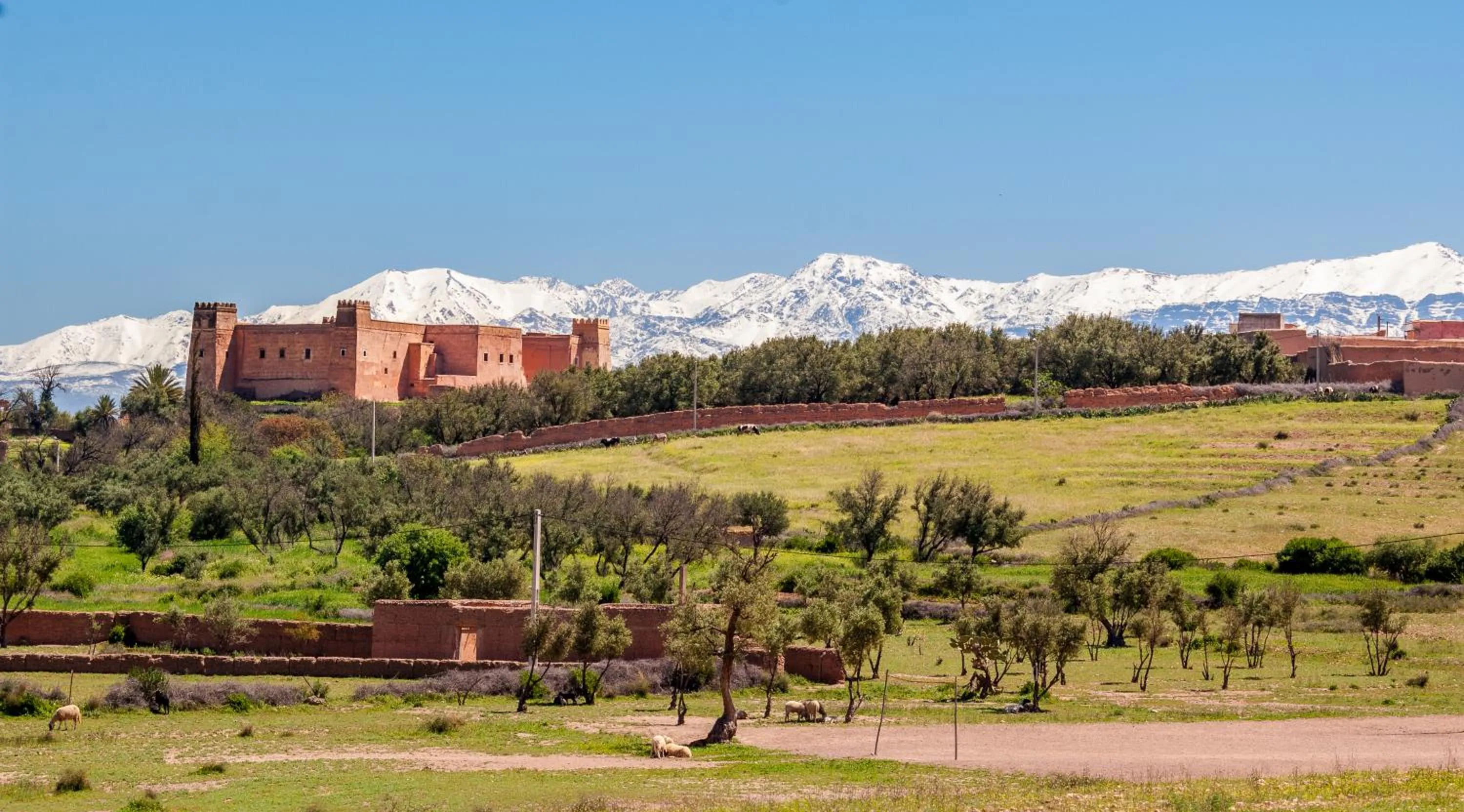 Nearby landmark in Riad Sougtani