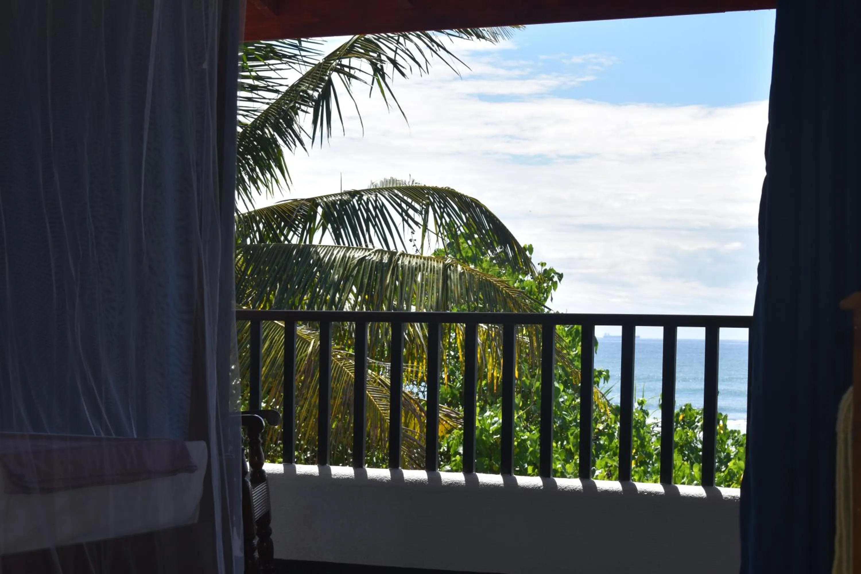 Natural landscape in New Ocean Vibes Ahangama