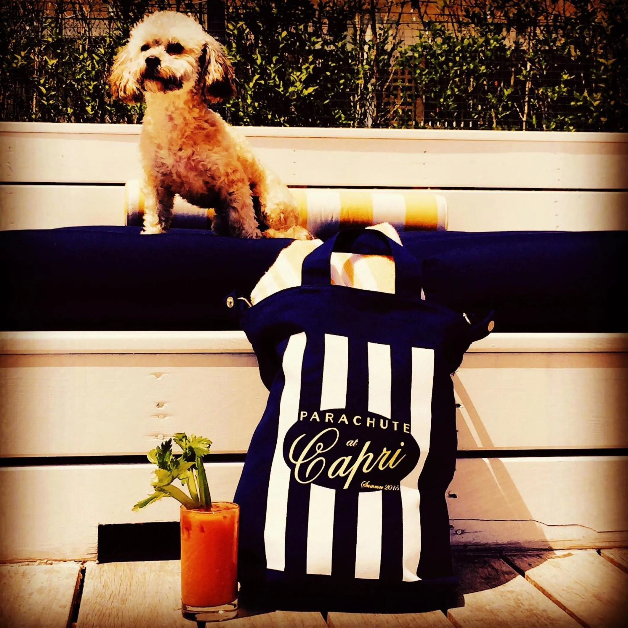 Day in Capri Southampton