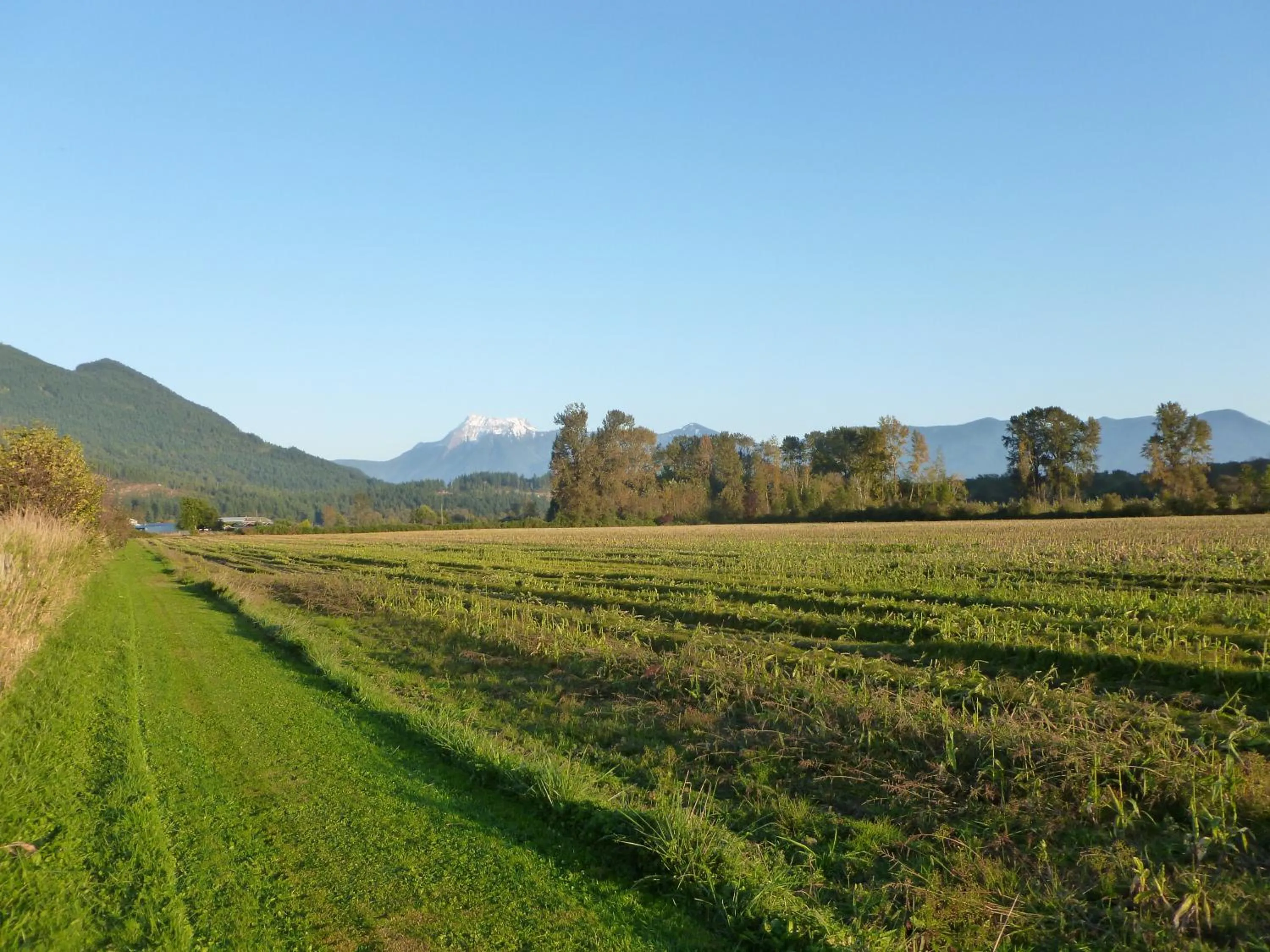 Harrison Hammond House Farmstay