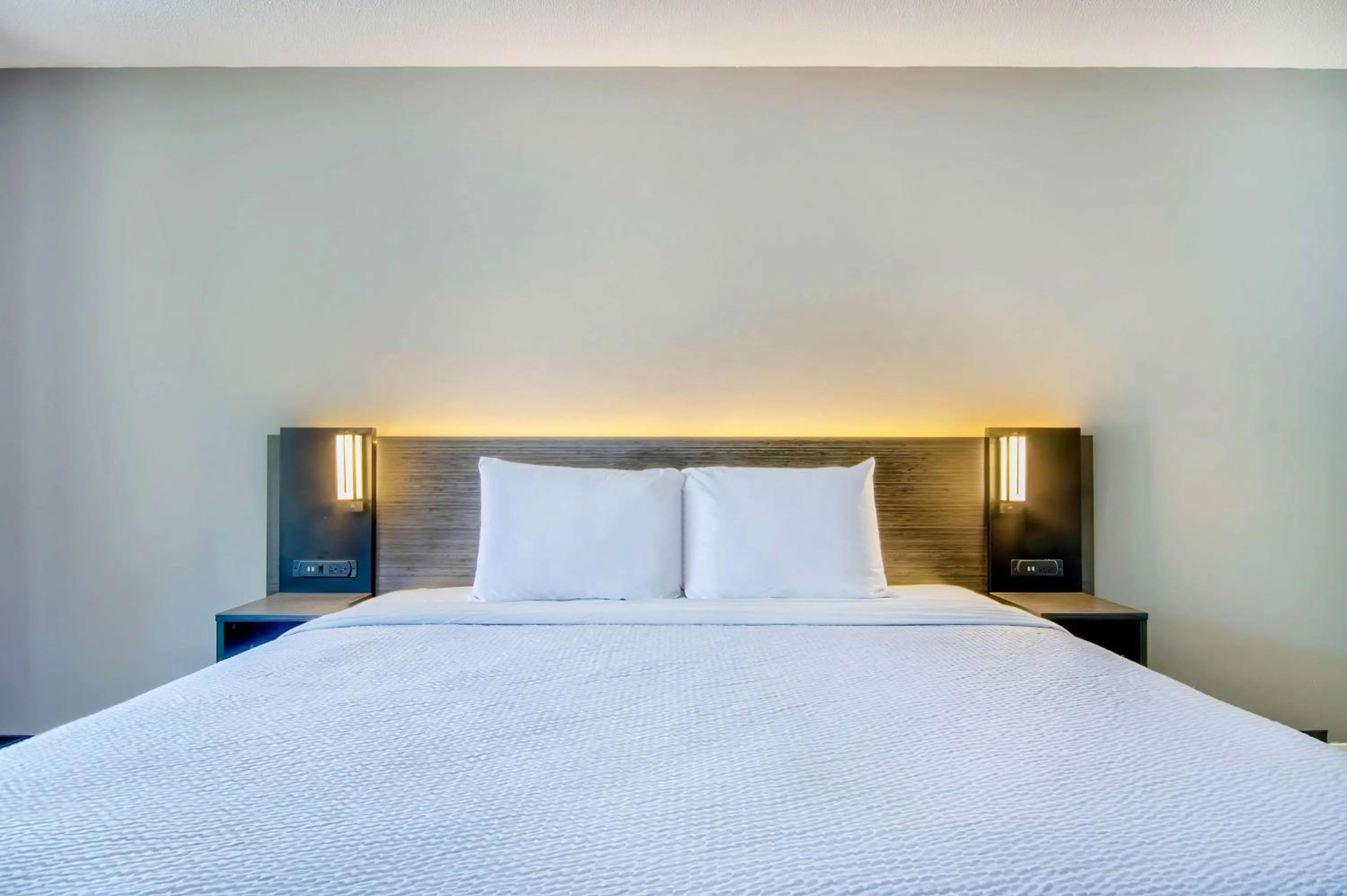 Bedroom, Bed in Motel 6 Jeffersonville, IN