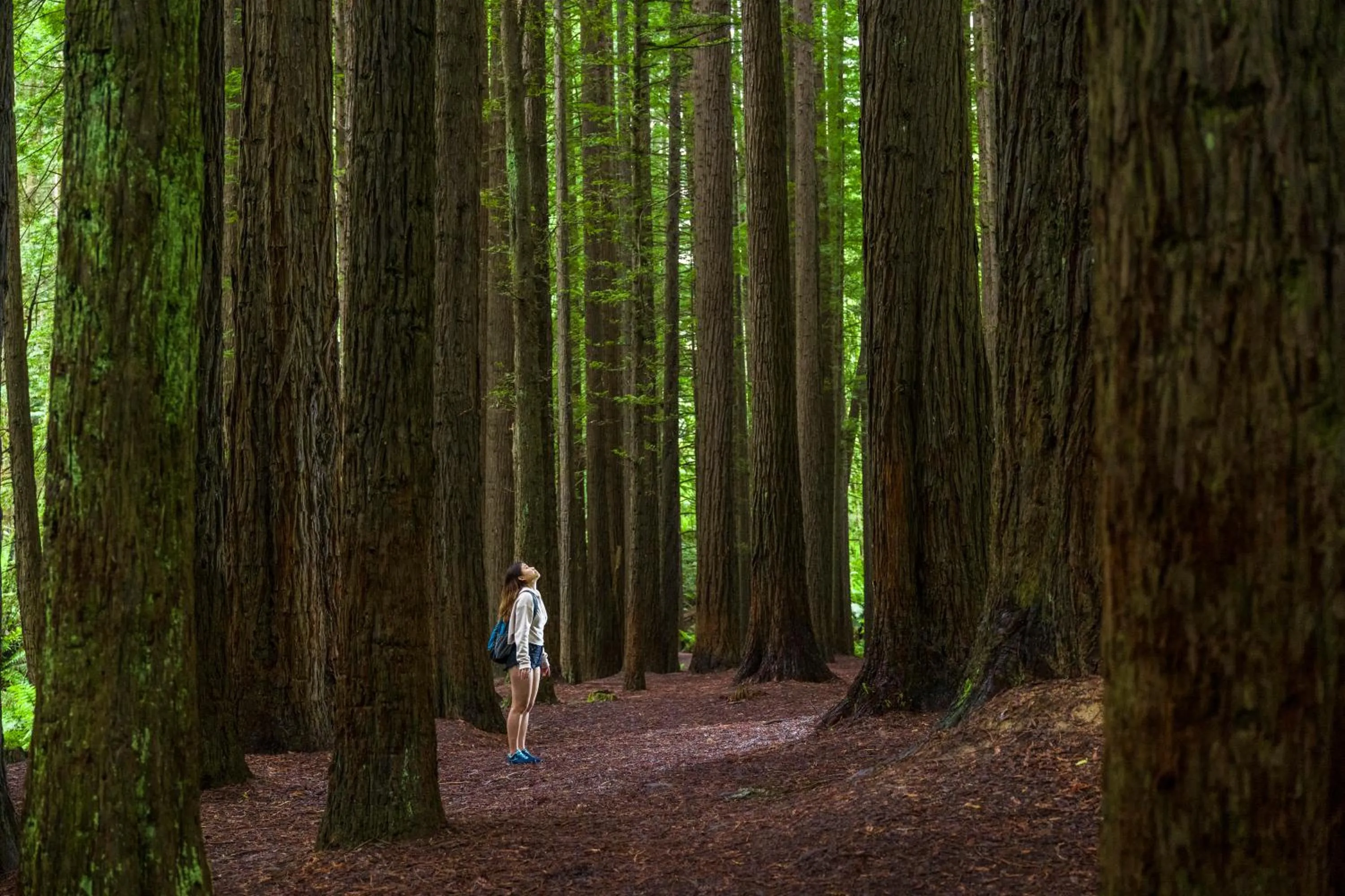 Nearby landmark in YHA Apollo Bay Eco