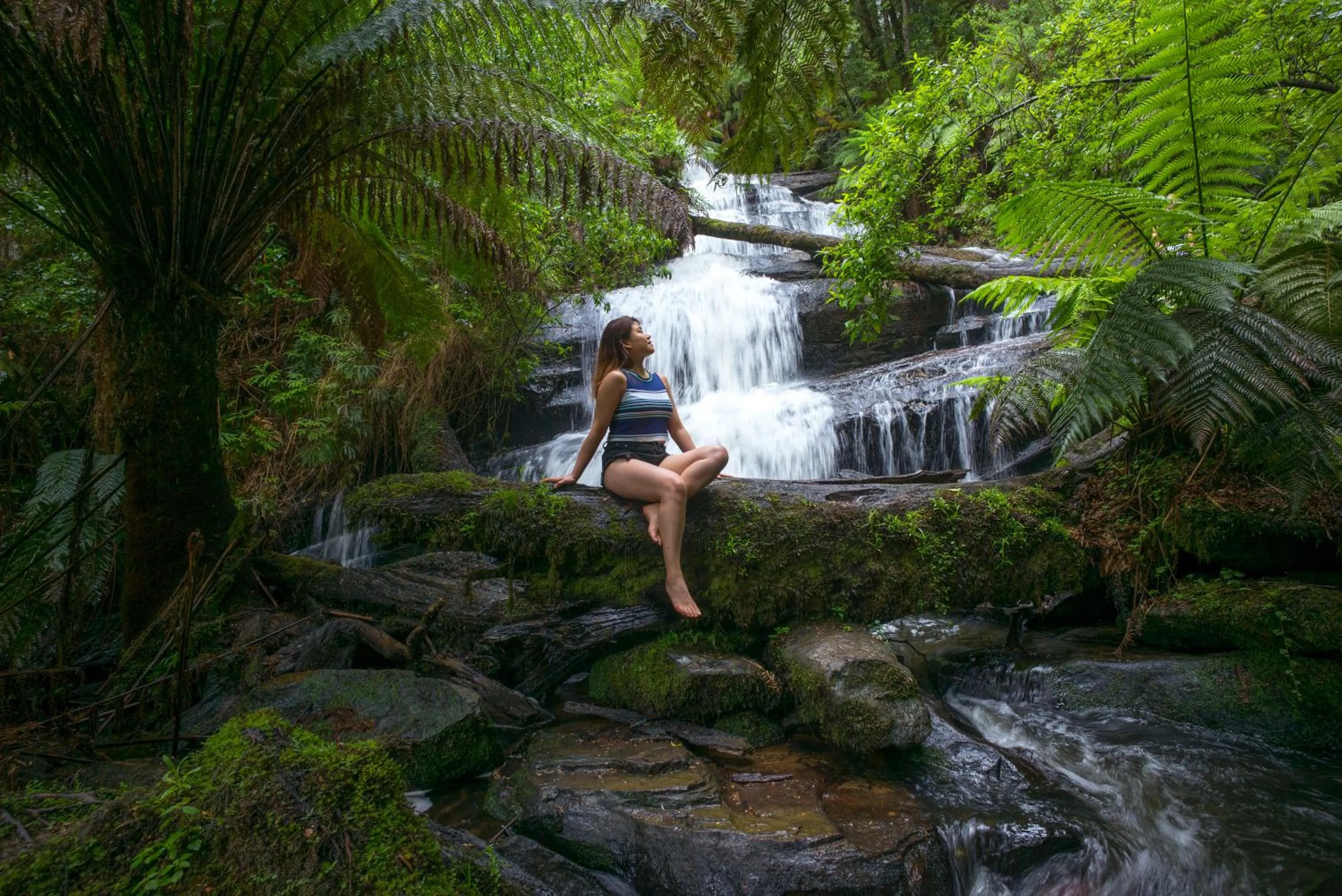 Nearby landmark in YHA Apollo Bay Eco