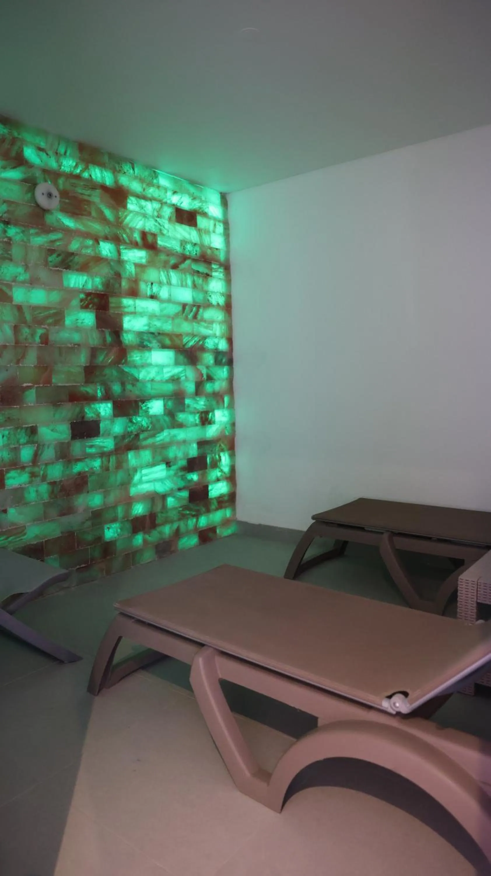 Spa and wellness centre/facilities in Cegonha Country Club