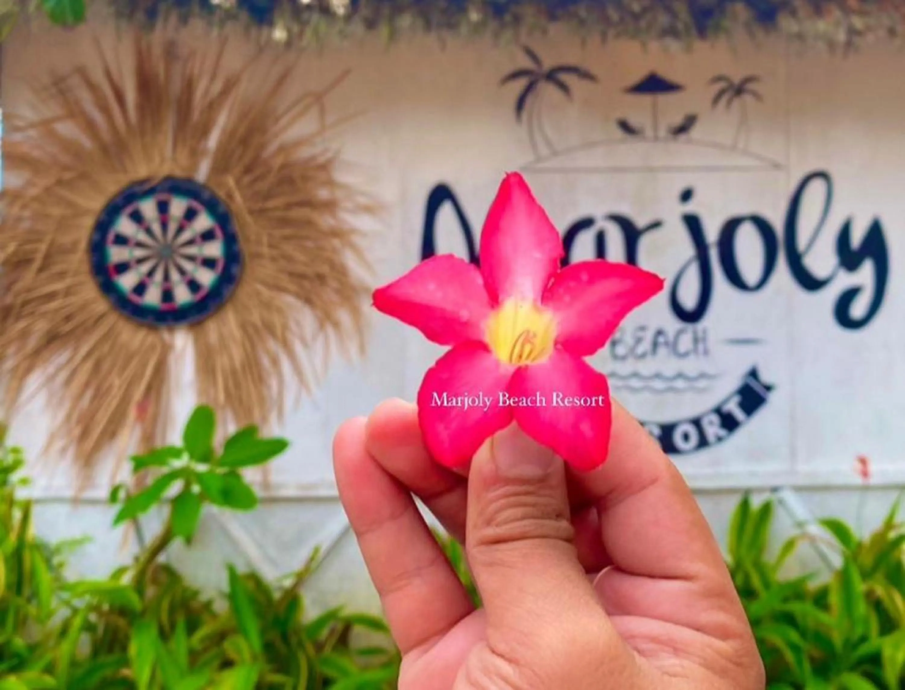 Property building in marjoly beach resort