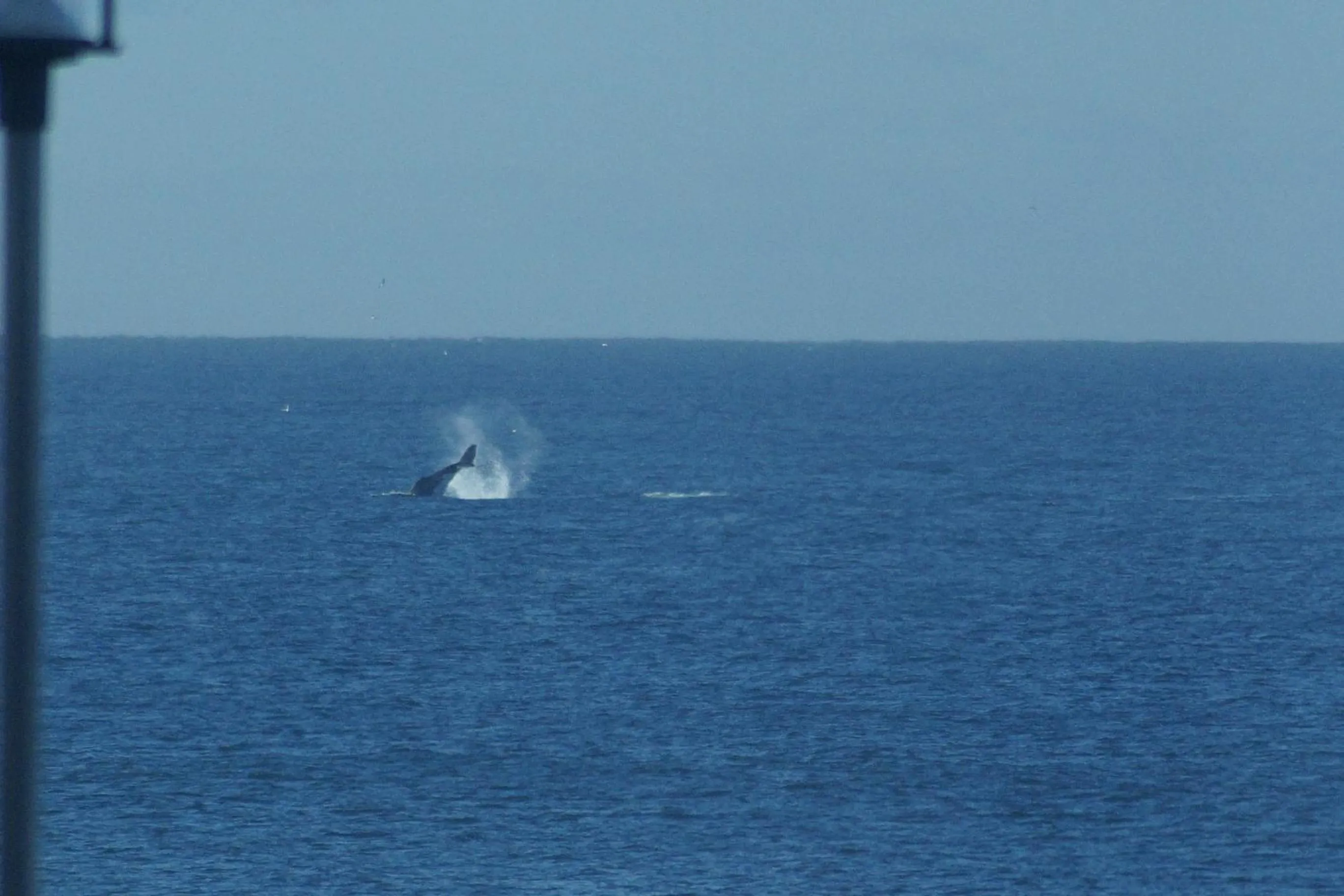 Beach in Noah's On the Beach