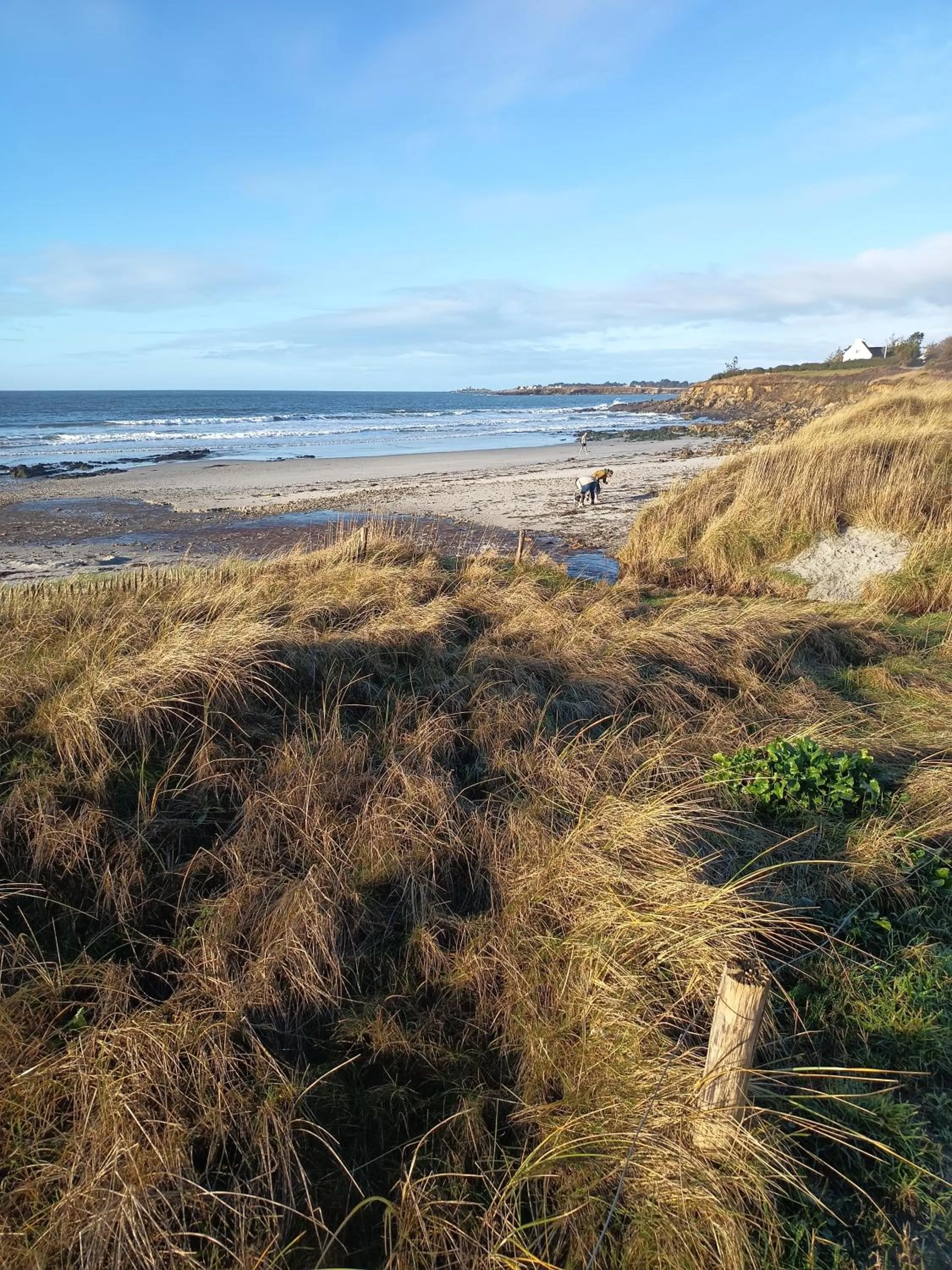 Beach in Maison d'Hôtes Les 3 Koïs, Nature & Quiétude