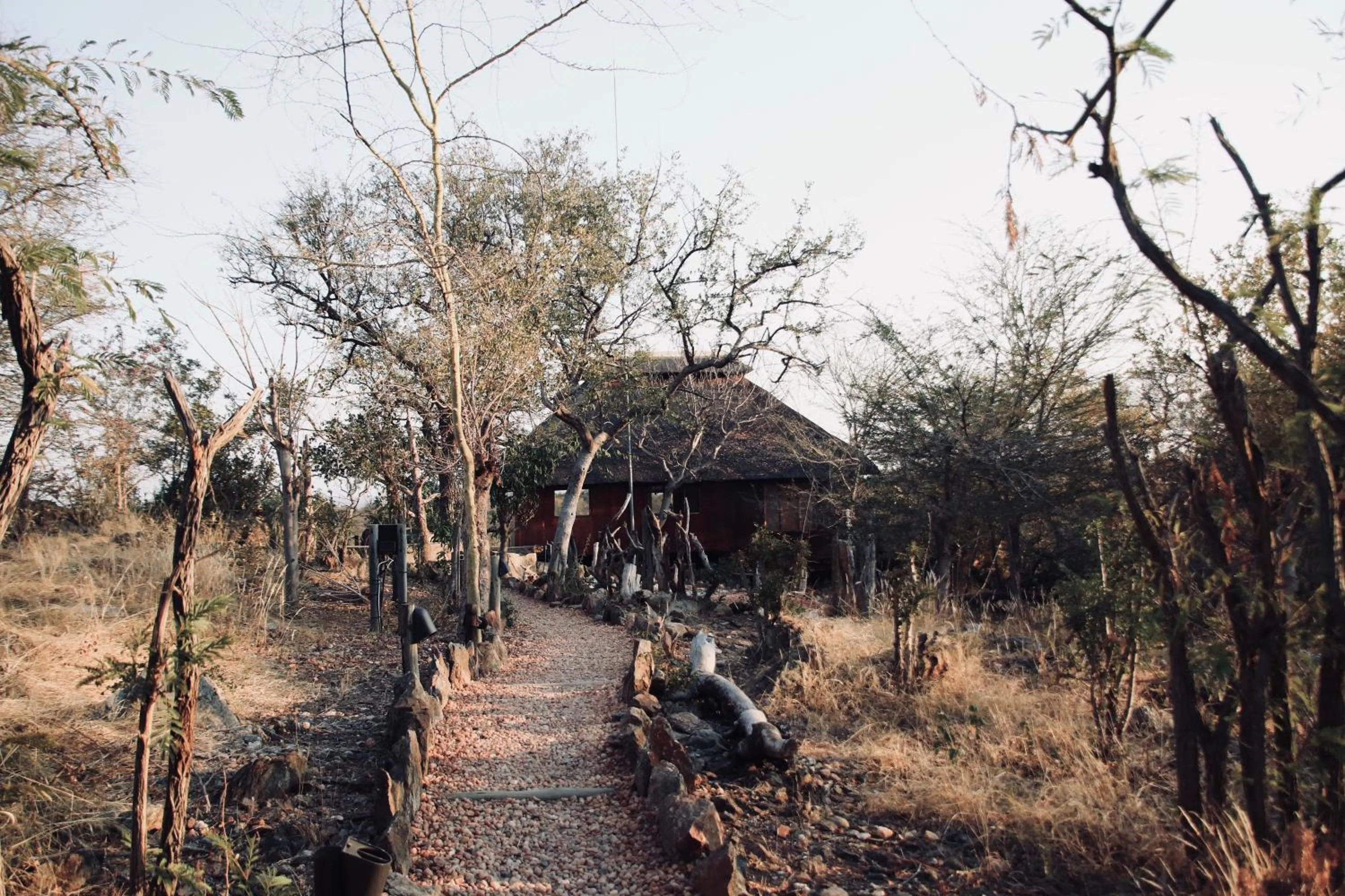 Lobby or reception in Parsons Hilltop Safari Camp