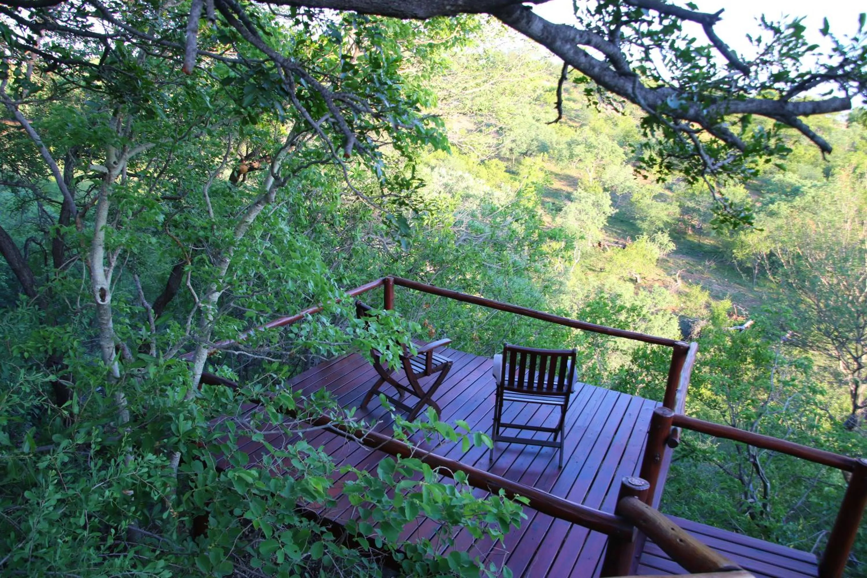 Balcony/Terrace in Parsons Hilltop Safari Camp