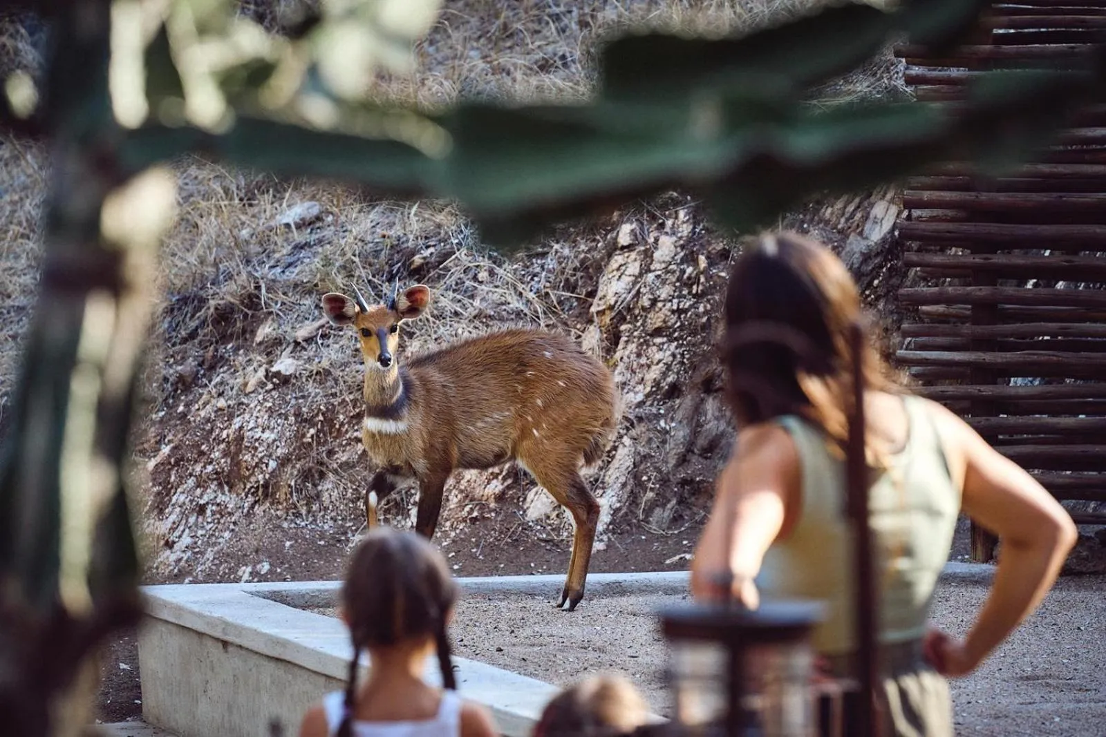 Property building in Parsons Hilltop Safari Camp