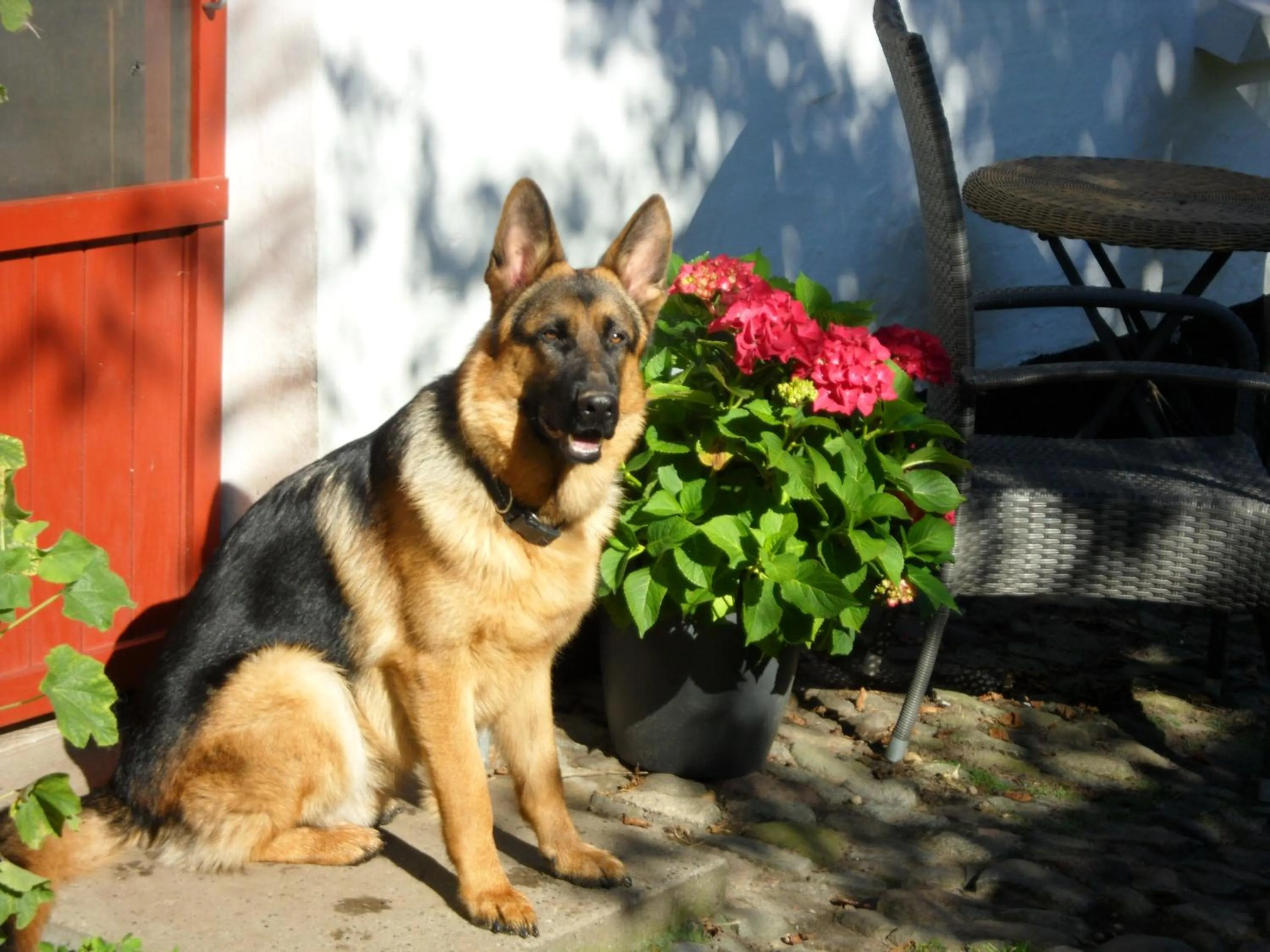 Lille Degnbøl Holiday House