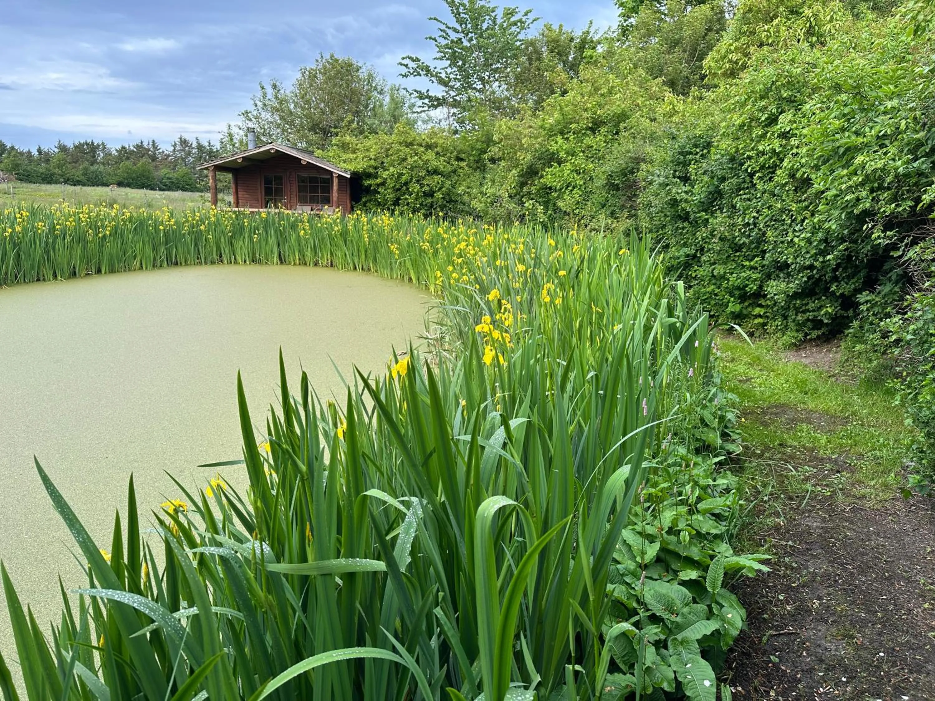 Lille Degnbøl Holiday House