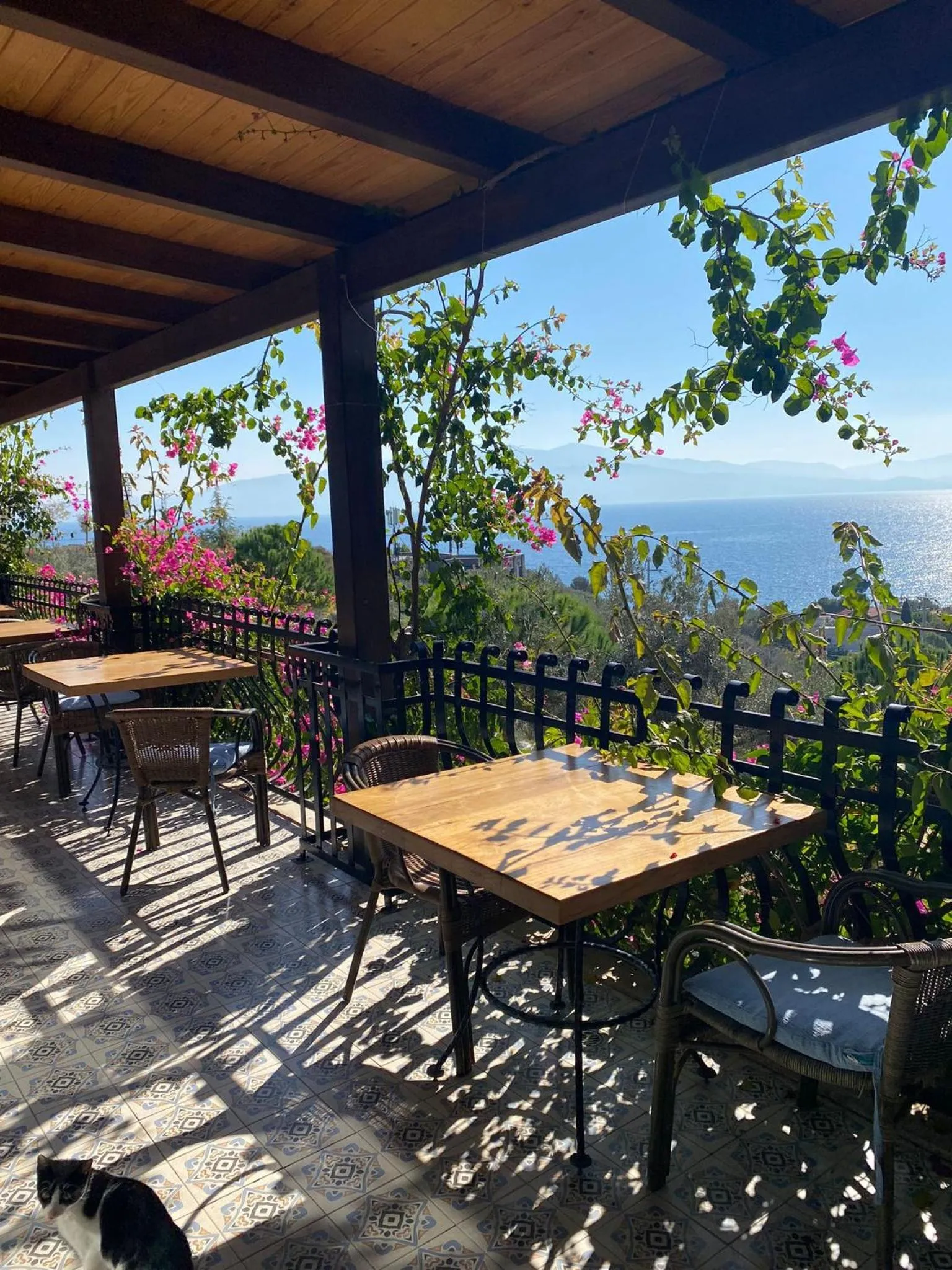 Restaurant/places to eat in Assos Longevity Hotel