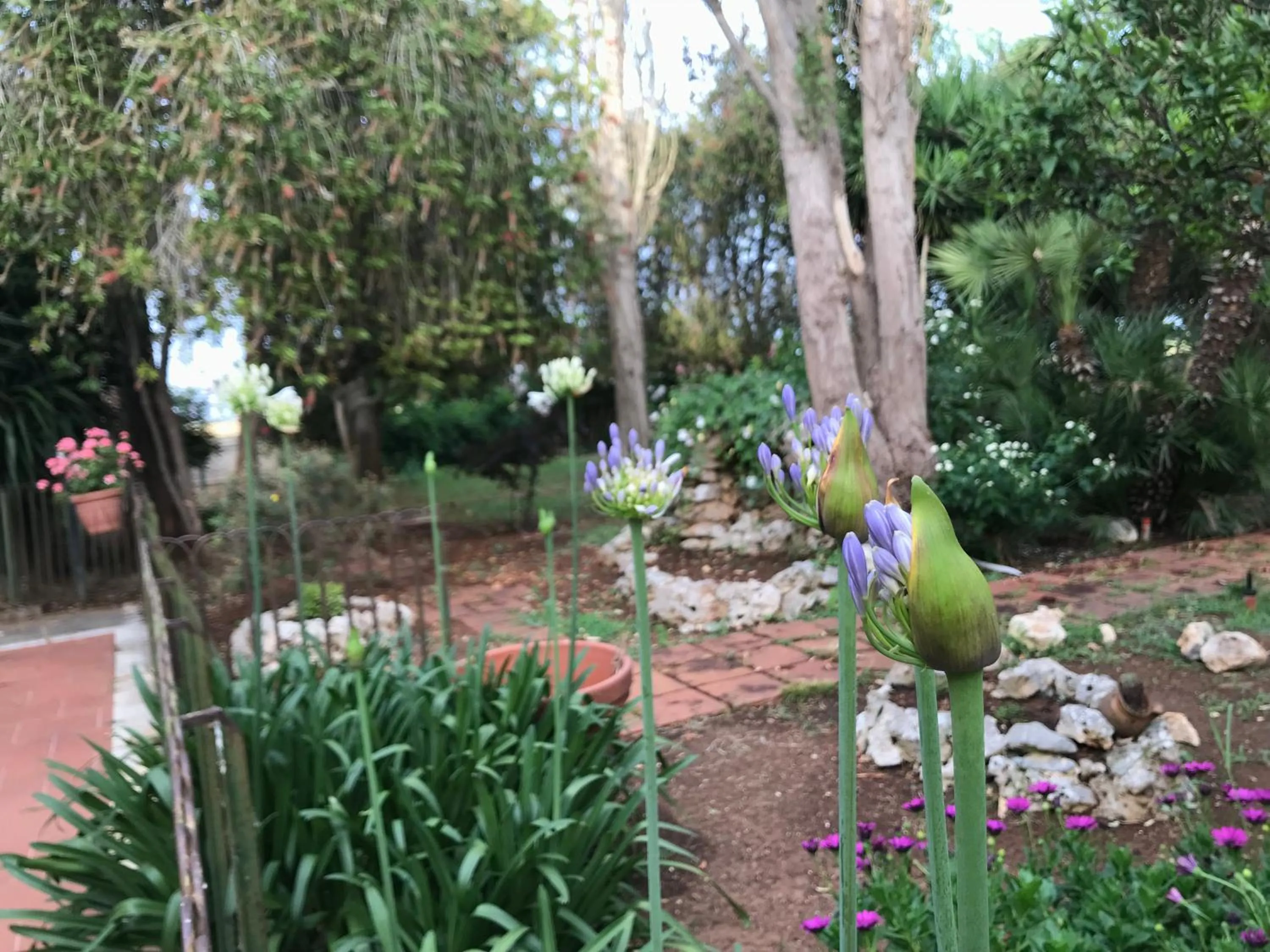 Garden in La casa di Sergio