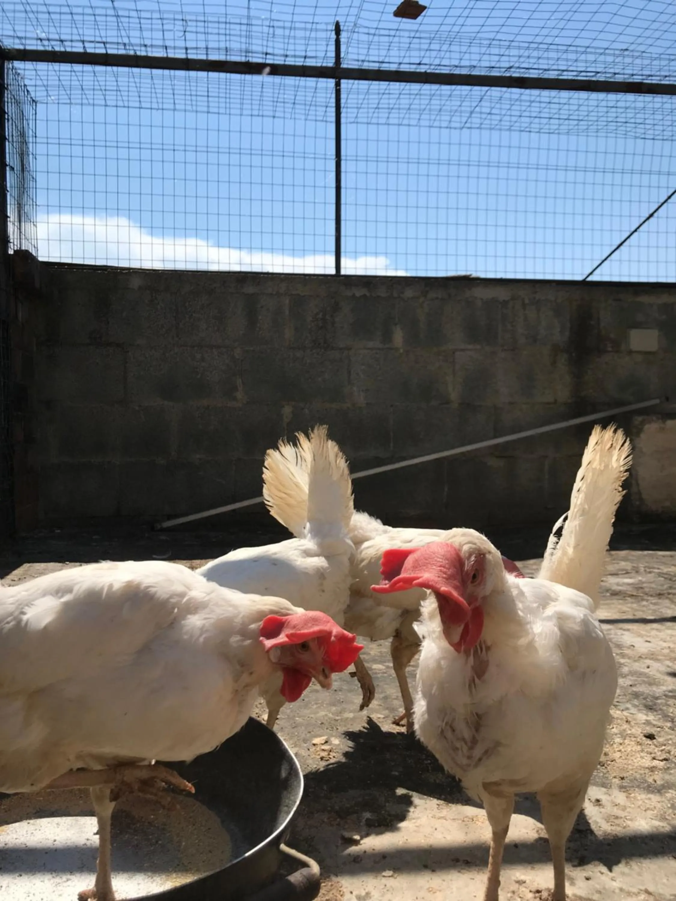 Other in La casa di Sergio