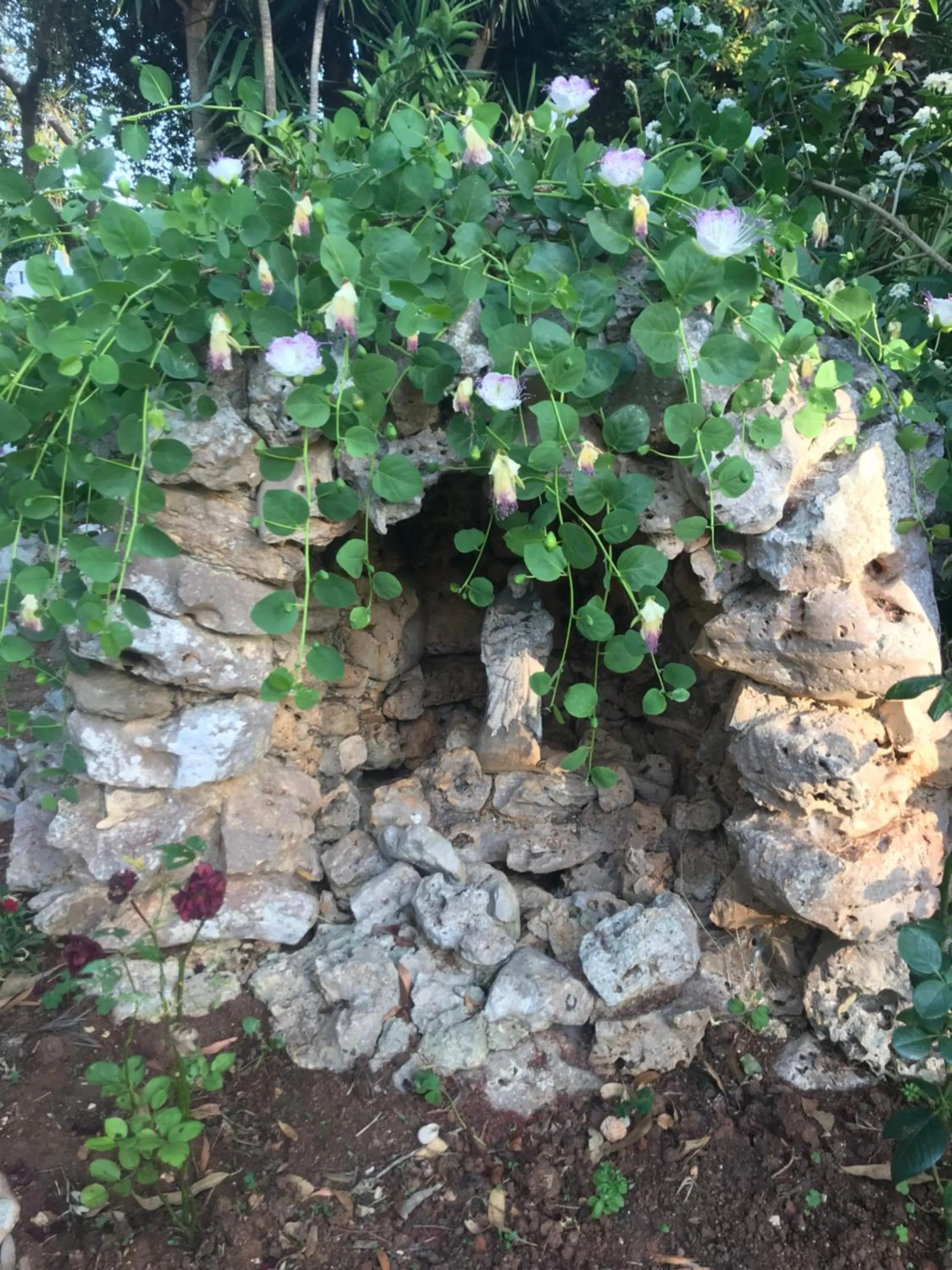 Summer in La casa di Sergio