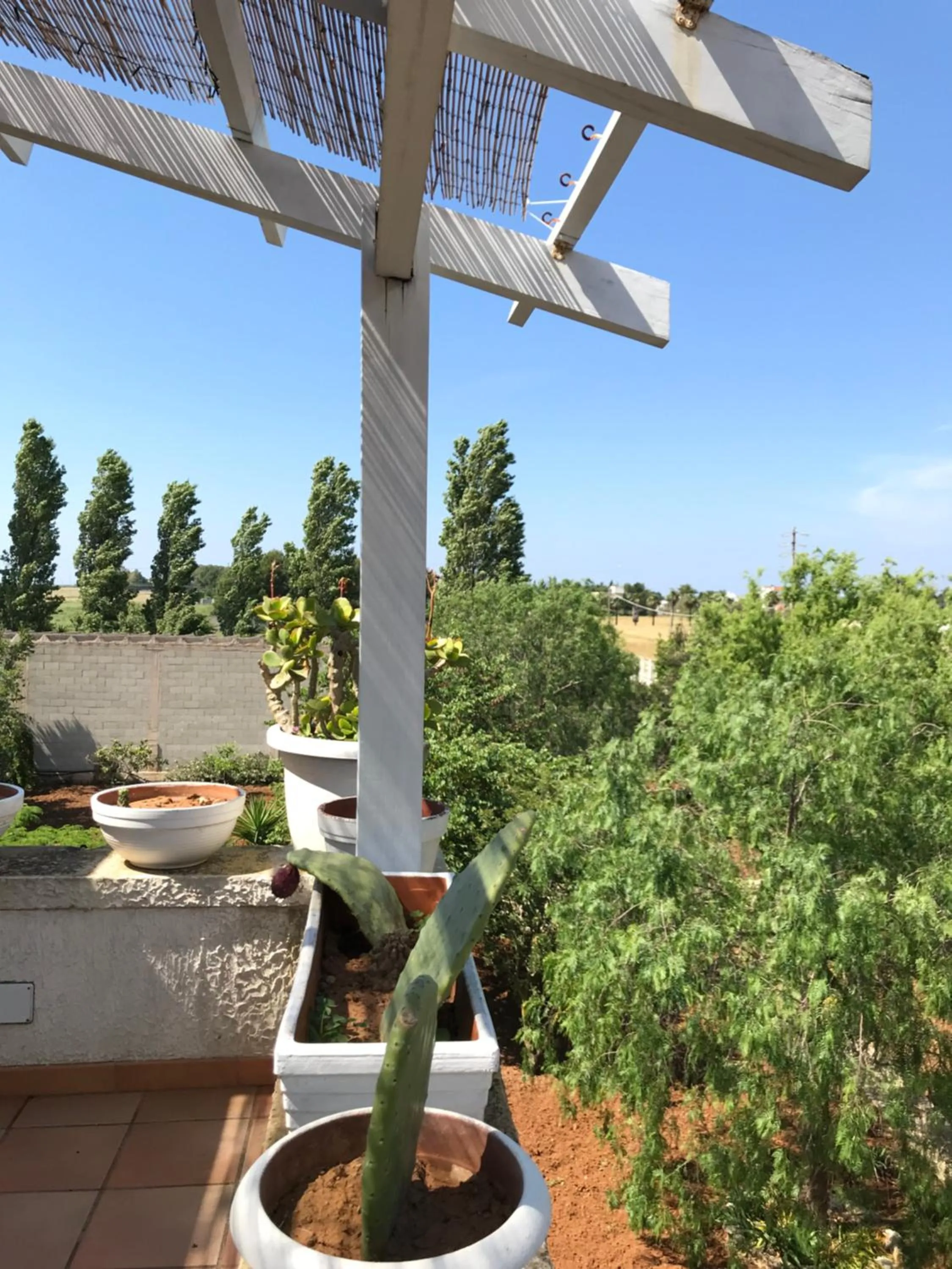 Balcony/Terrace in La casa di Sergio