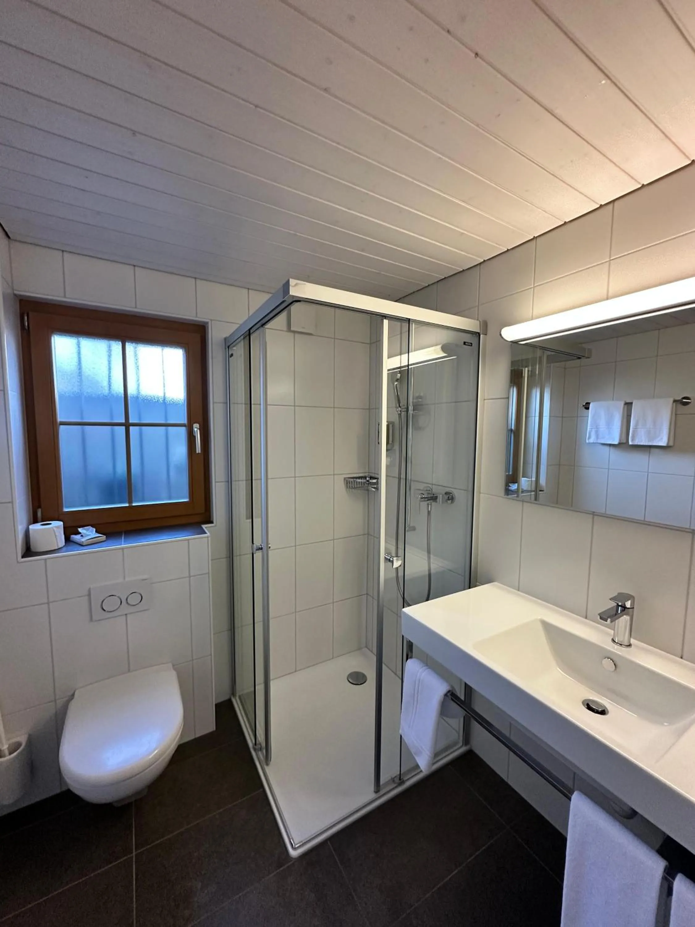 Bathroom in Chalet Gafri -Boutique B&B - comfort and hospitality - near Interlaken