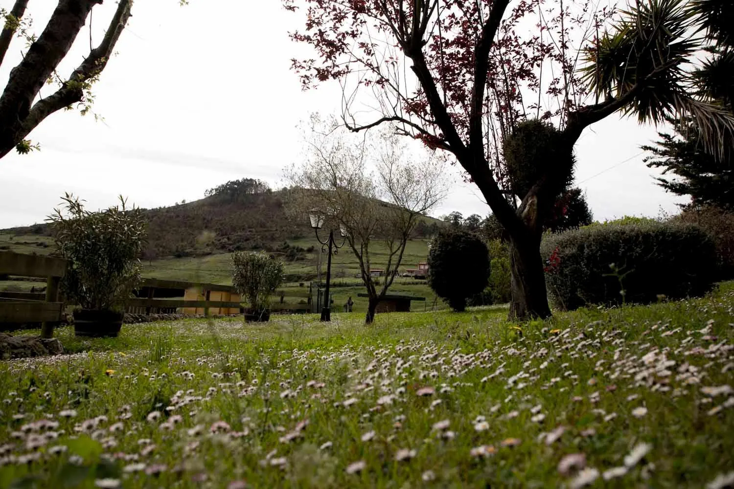 Property building in Apartamentos La Gloria