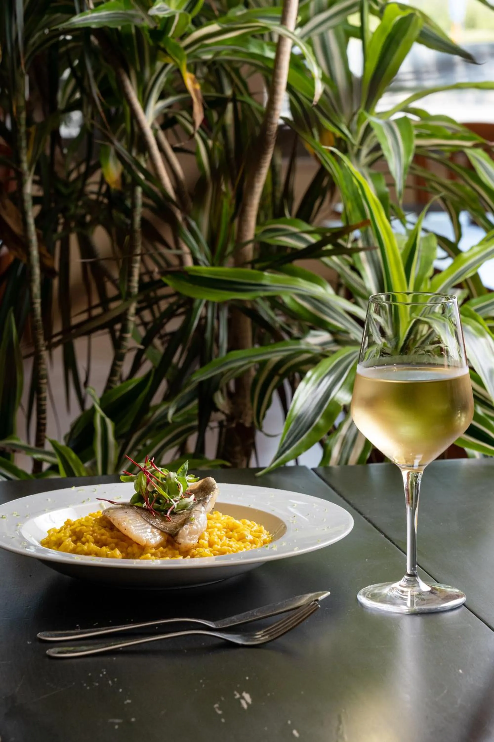 Food and drinks in VILA PARK Nature & Business Hotel