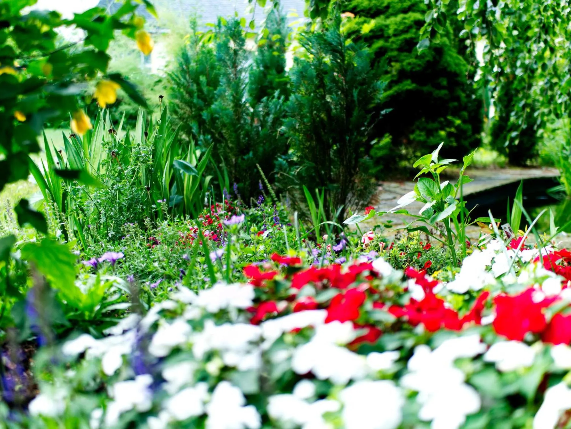 Natural landscape in Hotel Albrechtshof Gohrisch