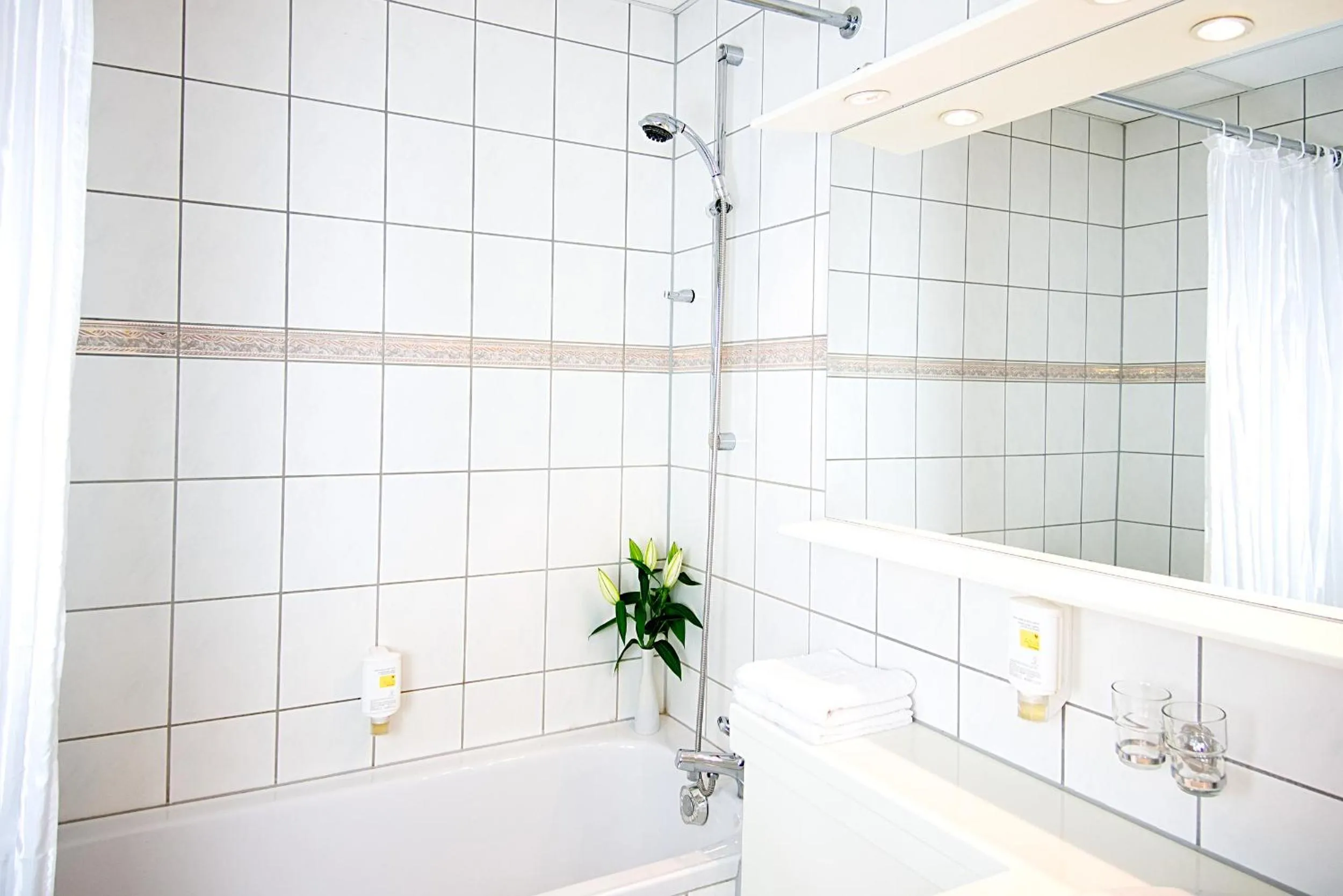 Bathroom in Hotel Albrechtshof Gohrisch