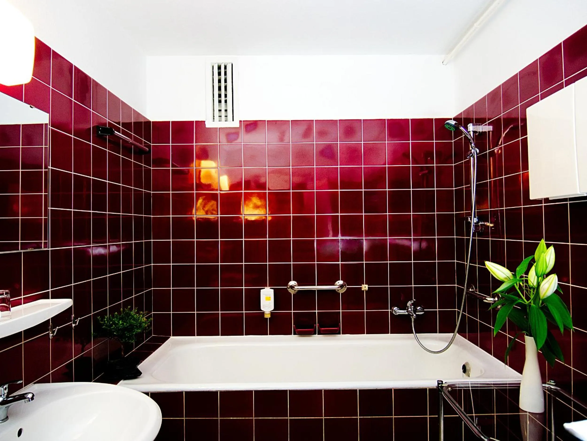 Toilet in Hotel Albrechtshof Gohrisch