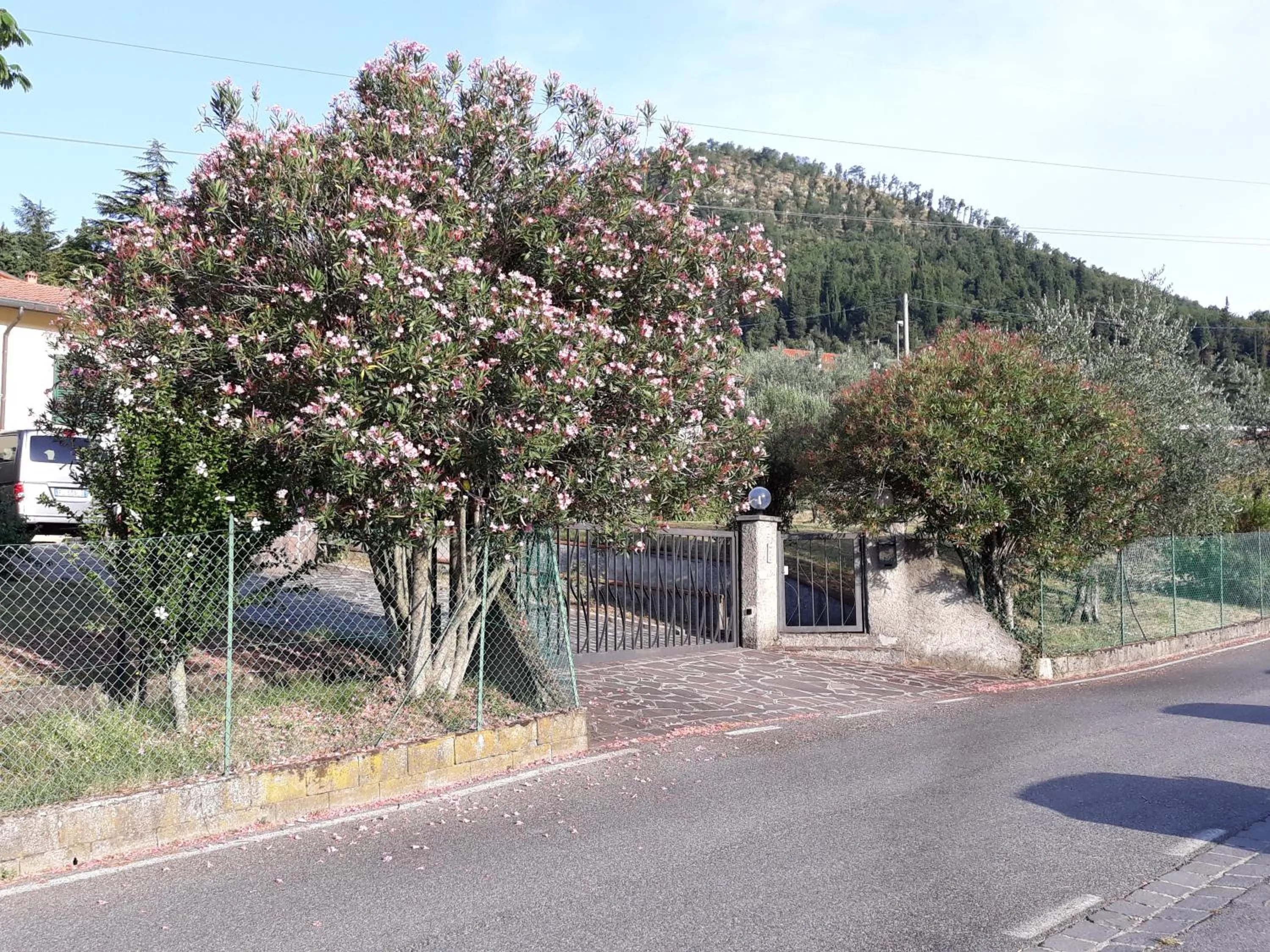 Facade/entrance in Gli Oleandri B&B