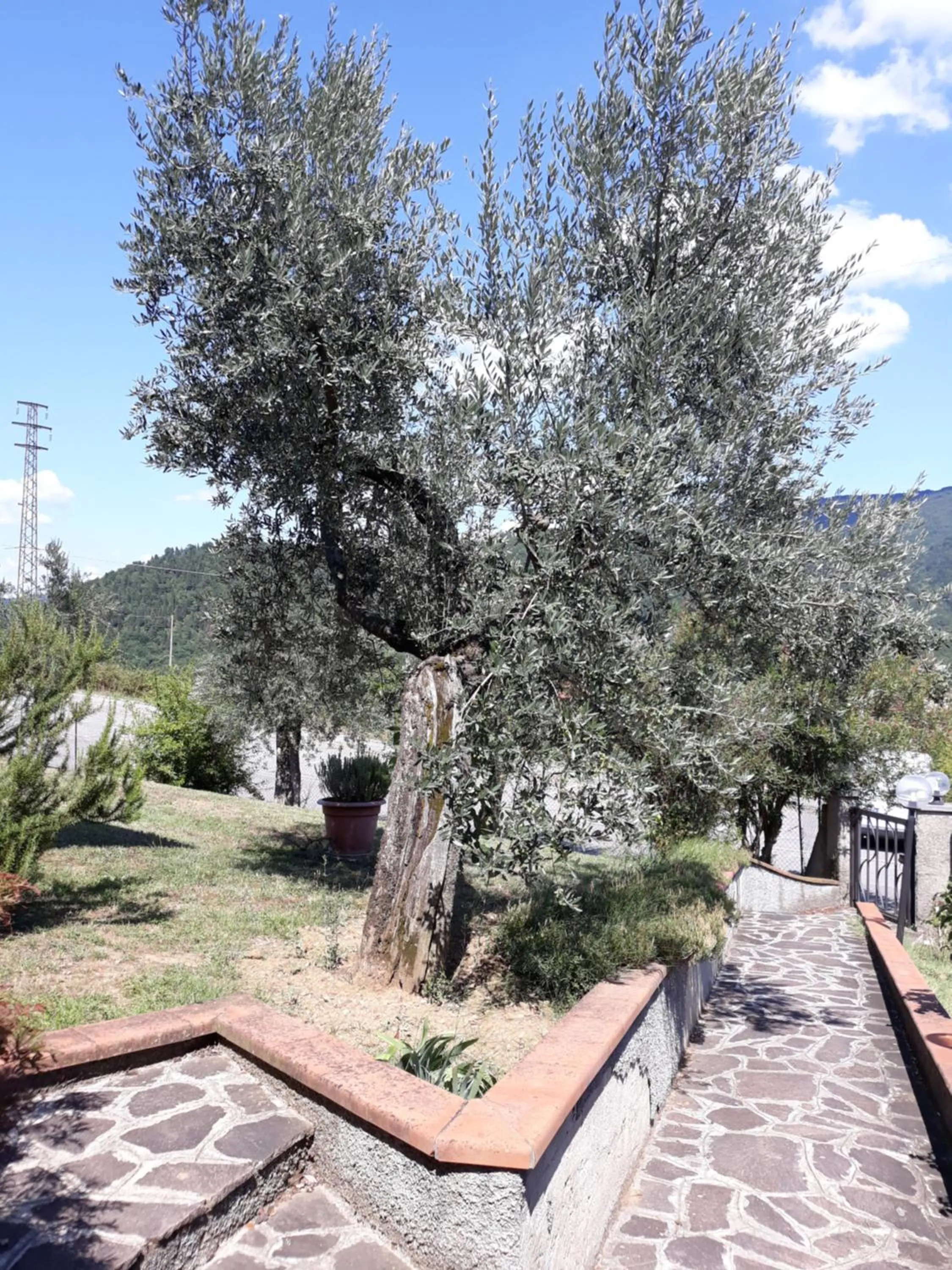 Property building in Gli Oleandri B&B
