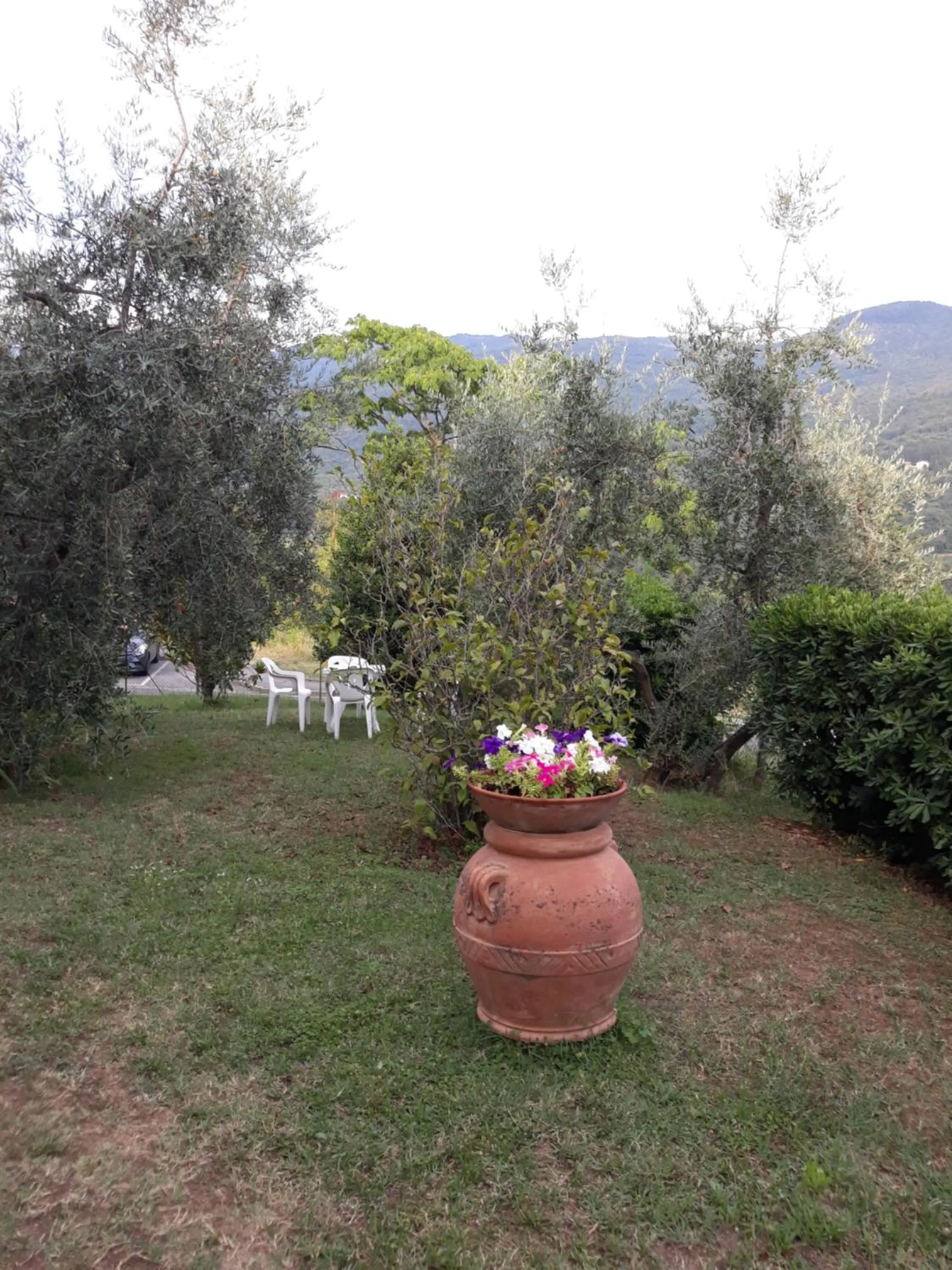 Garden in Gli Oleandri B&B