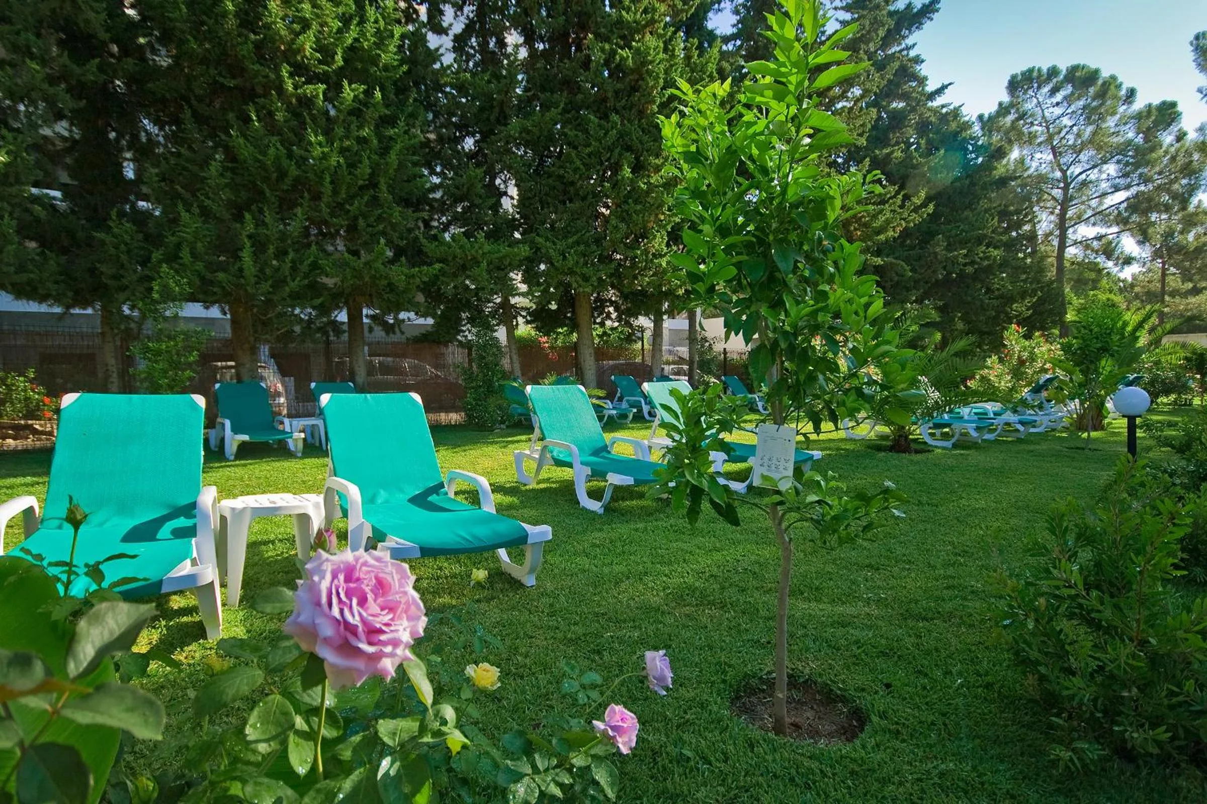 Garden in Apartamentos da Balaia