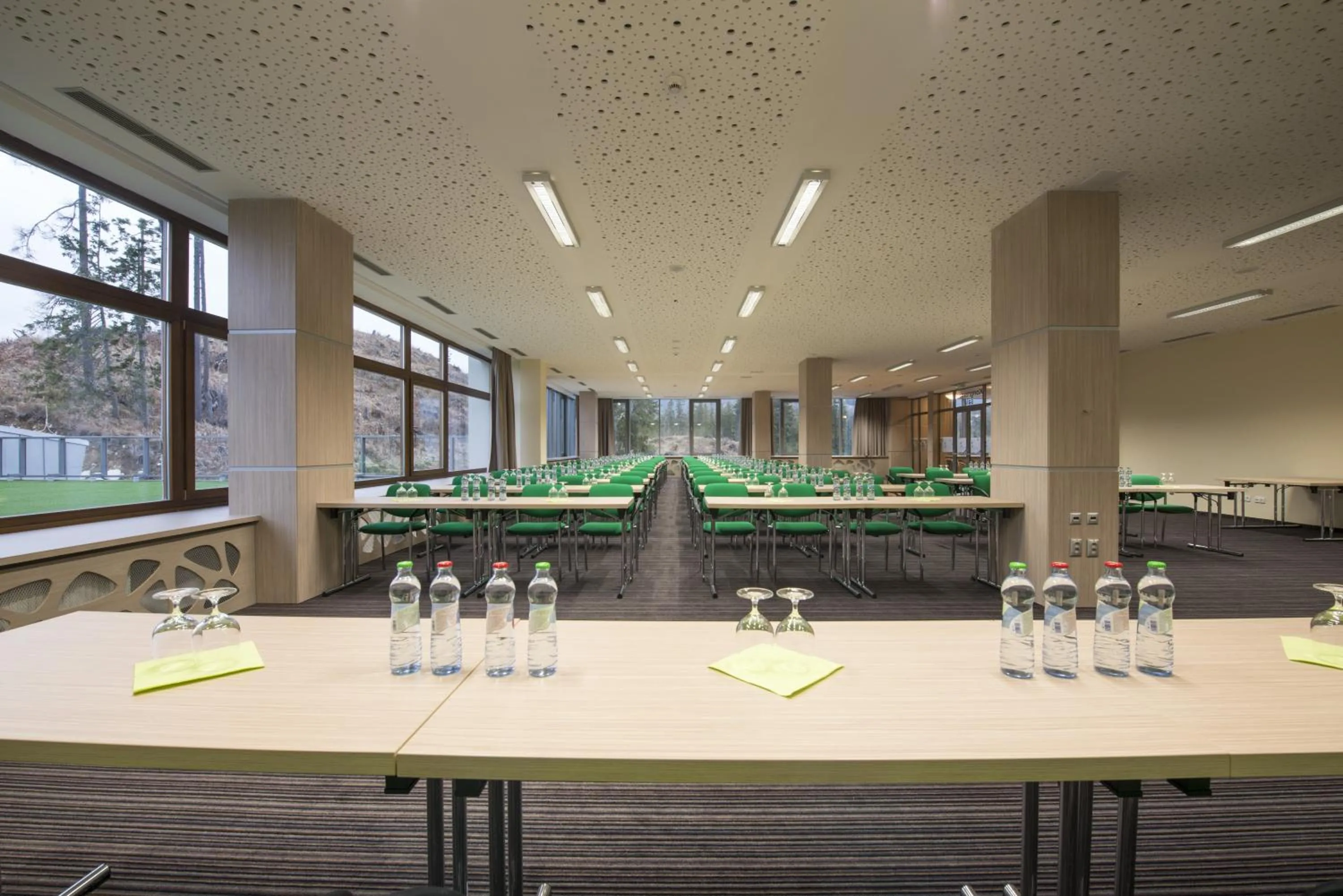 Business facilities in Hotel SOREA TRIGAN