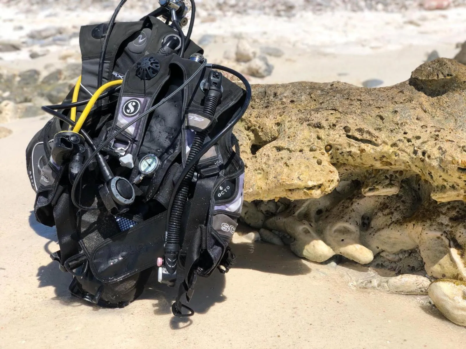 Activities in Tropical Divers Resort