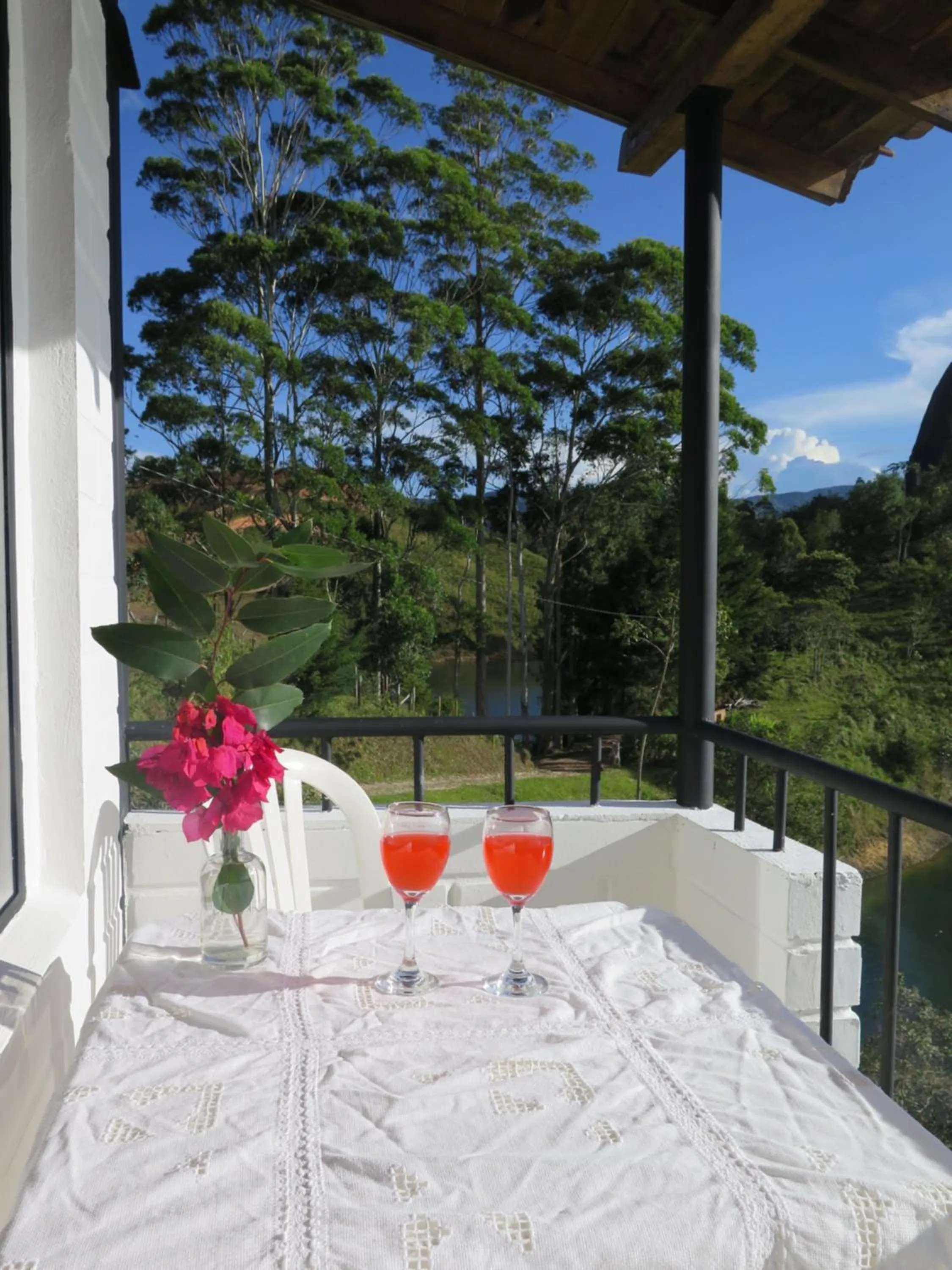 Balcony/Terrace in Ecolodge Bahia del Peñón