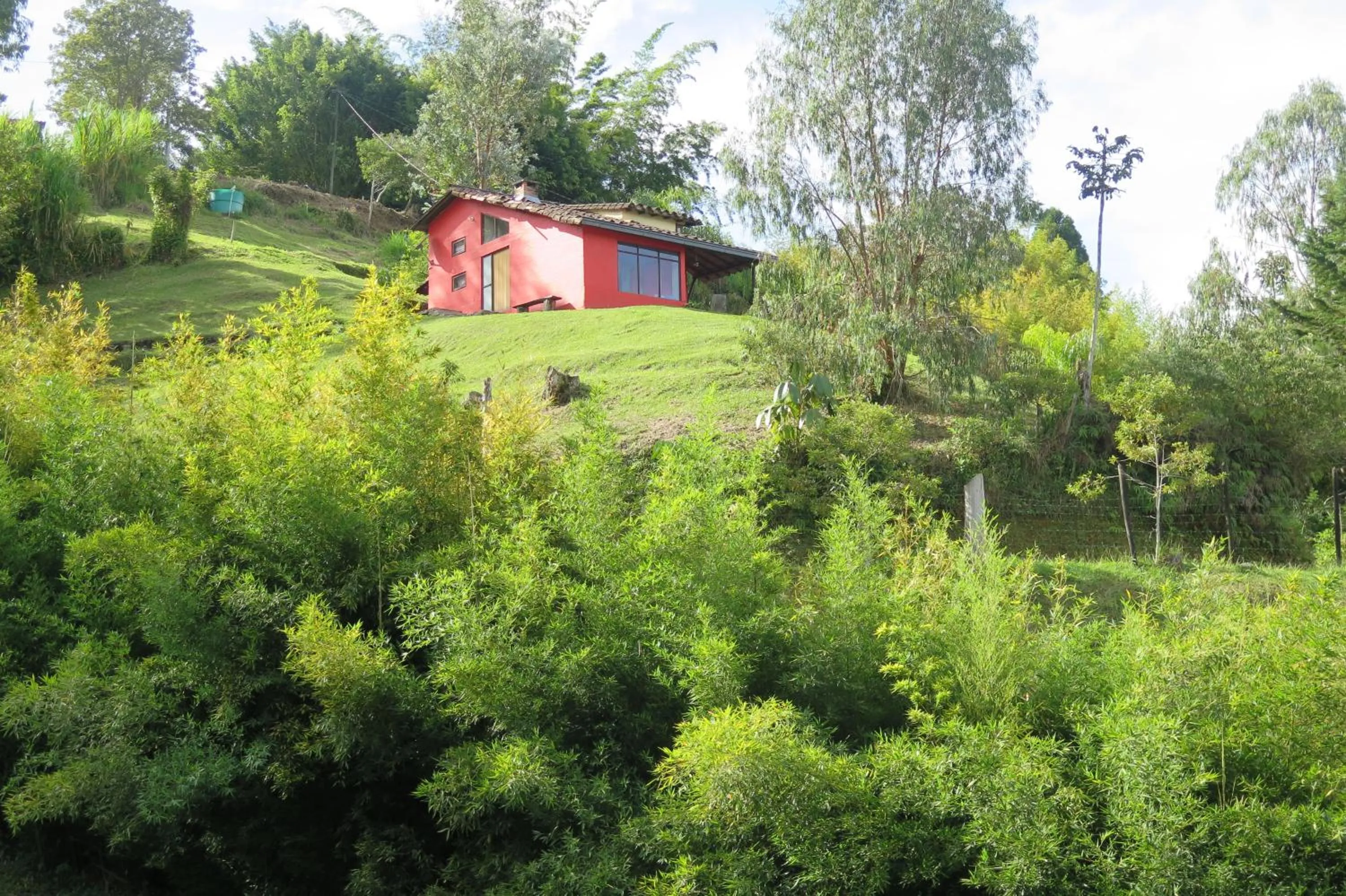 Garden in Ecolodge Bahia del Peñón