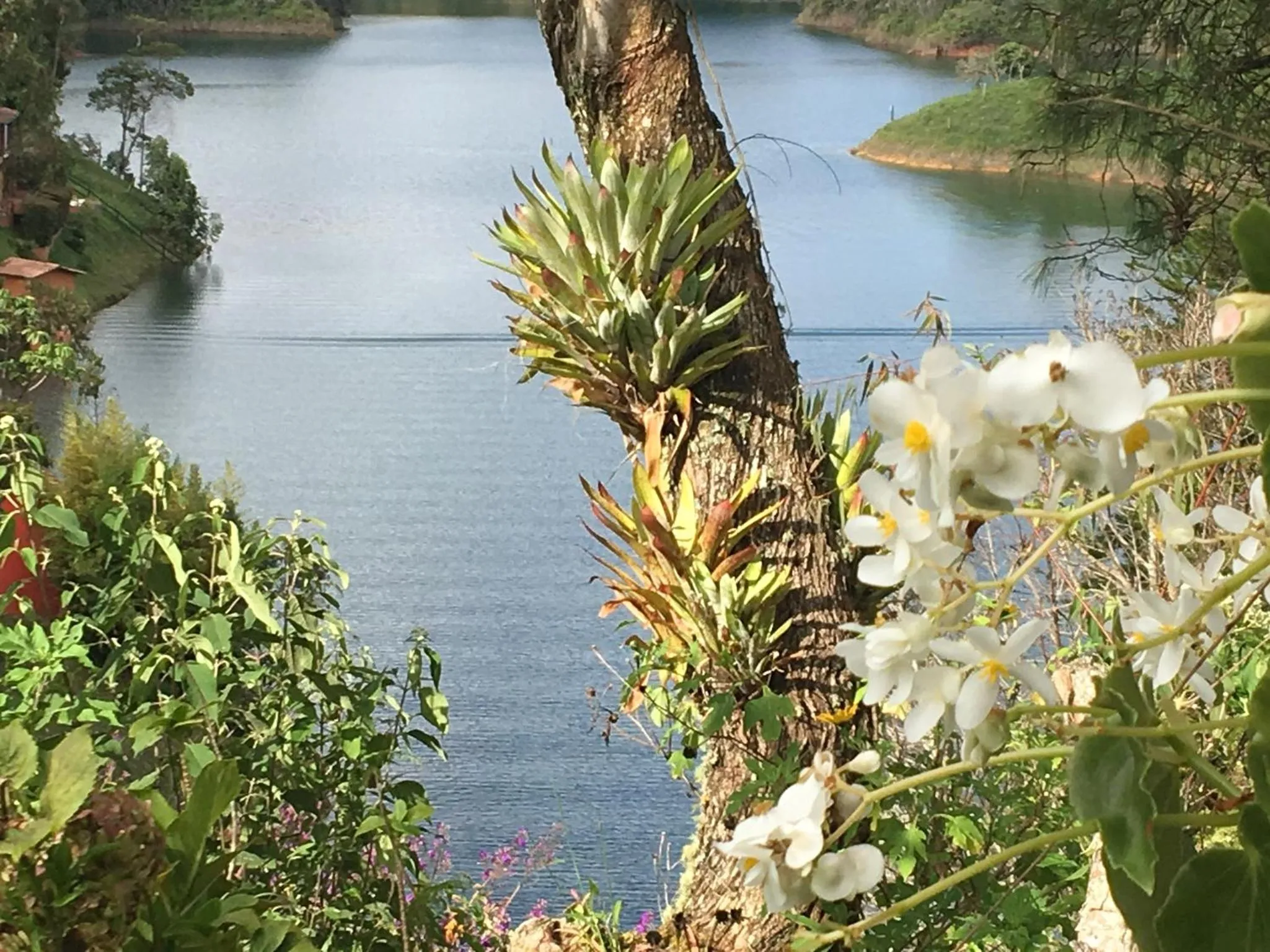 Natural landscape in Ecolodge Bahia del Peñón