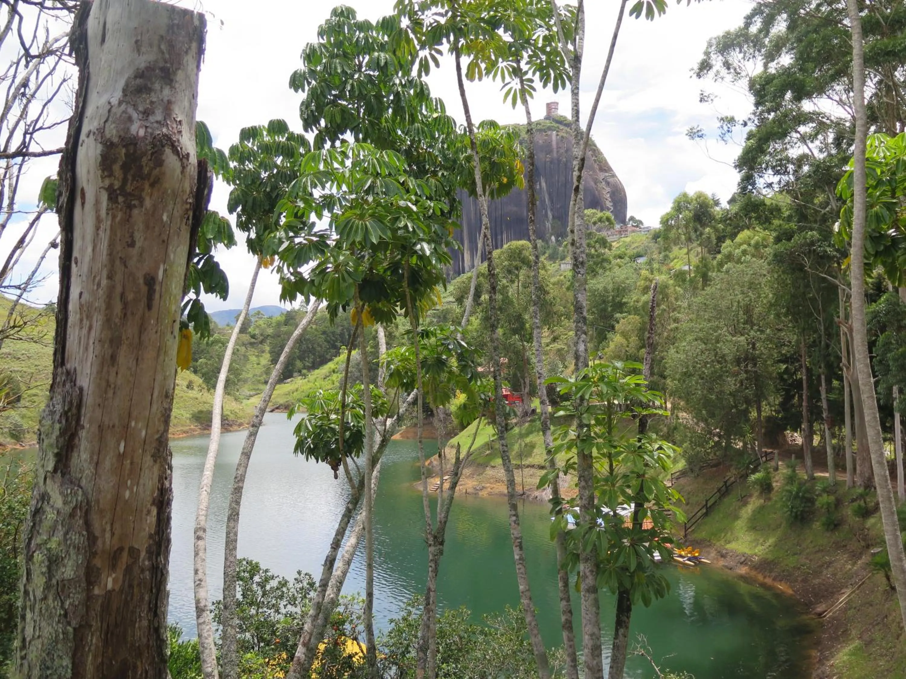 Natural landscape in Ecolodge Bahia del Peñón
