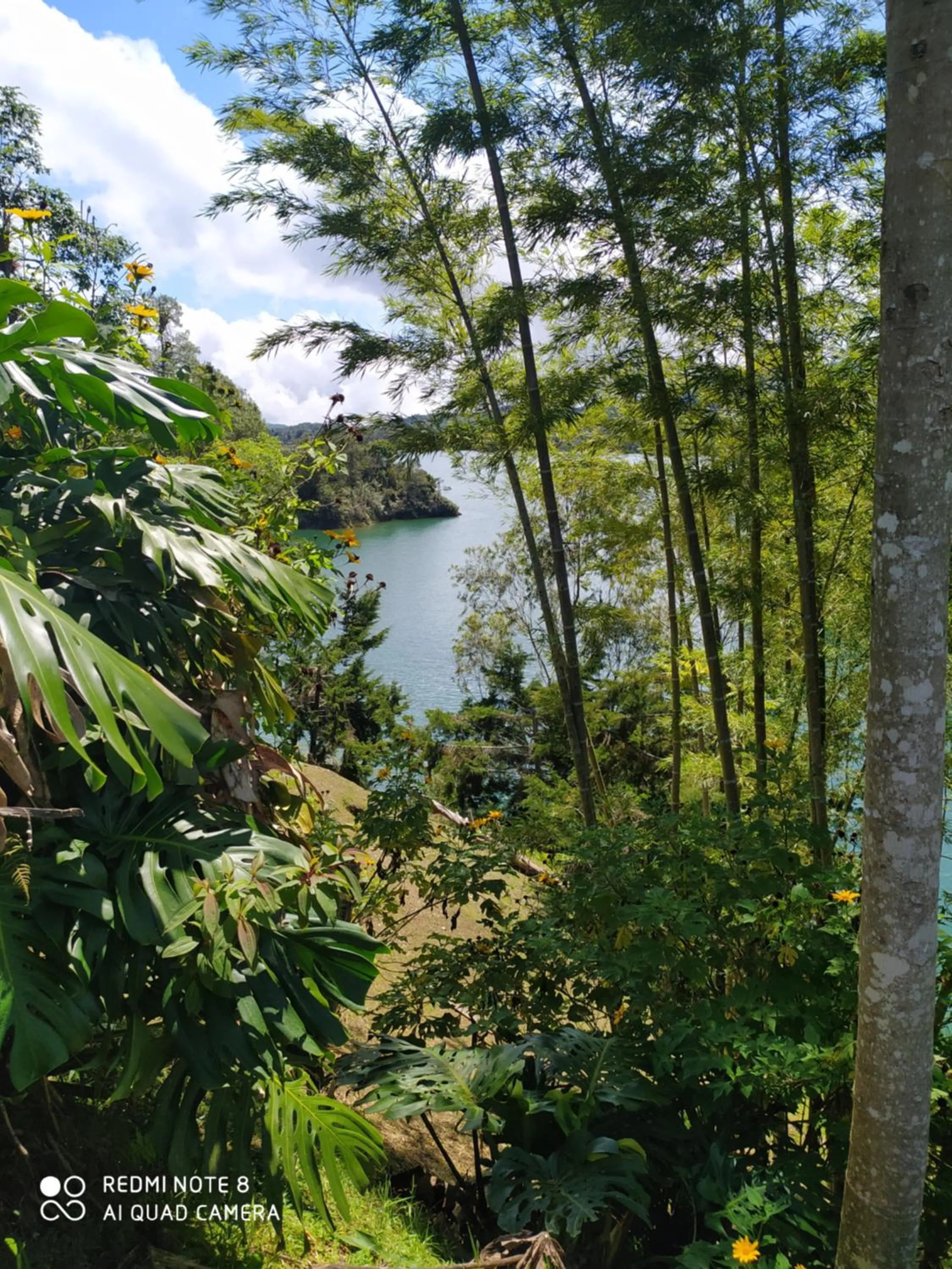 Property building in Ecolodge Bahia del Peñón