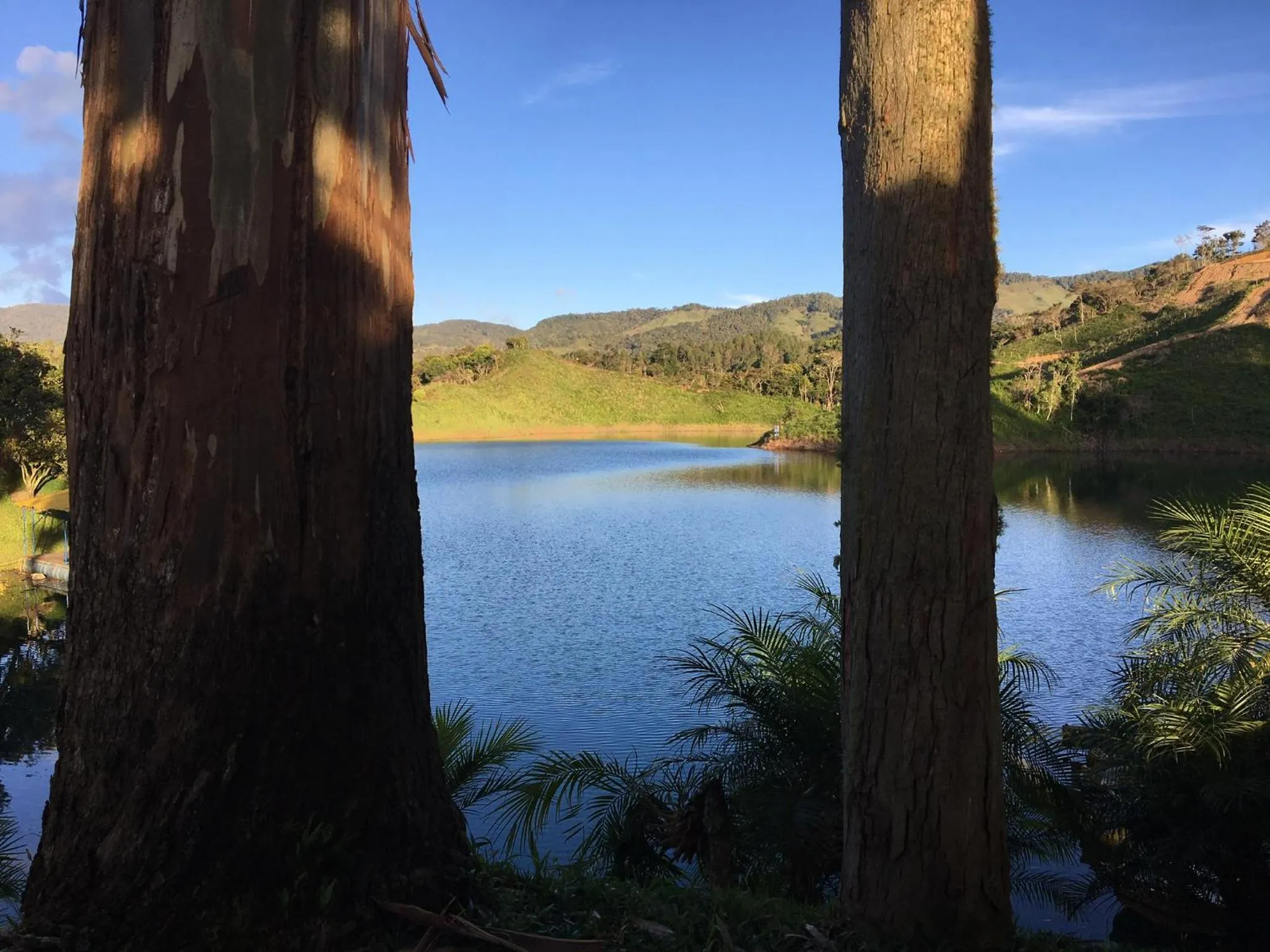 Natural landscape in Ecolodge Bahia del Peñón