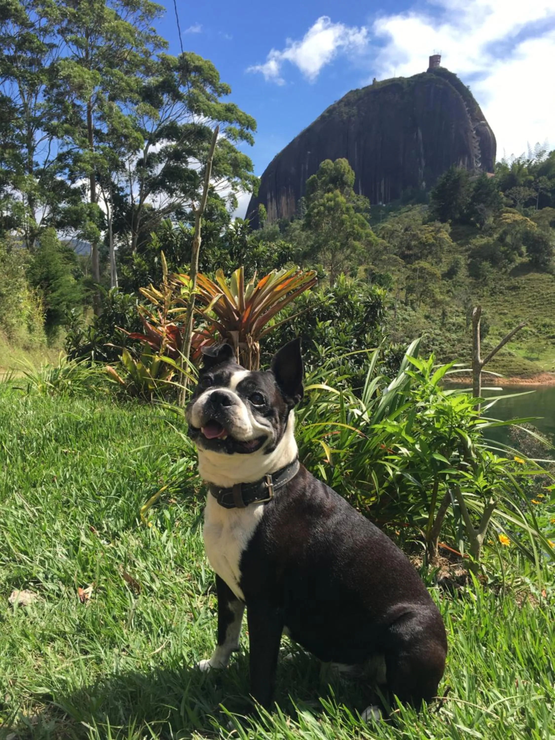 Garden in Ecolodge Bahia del Peñón