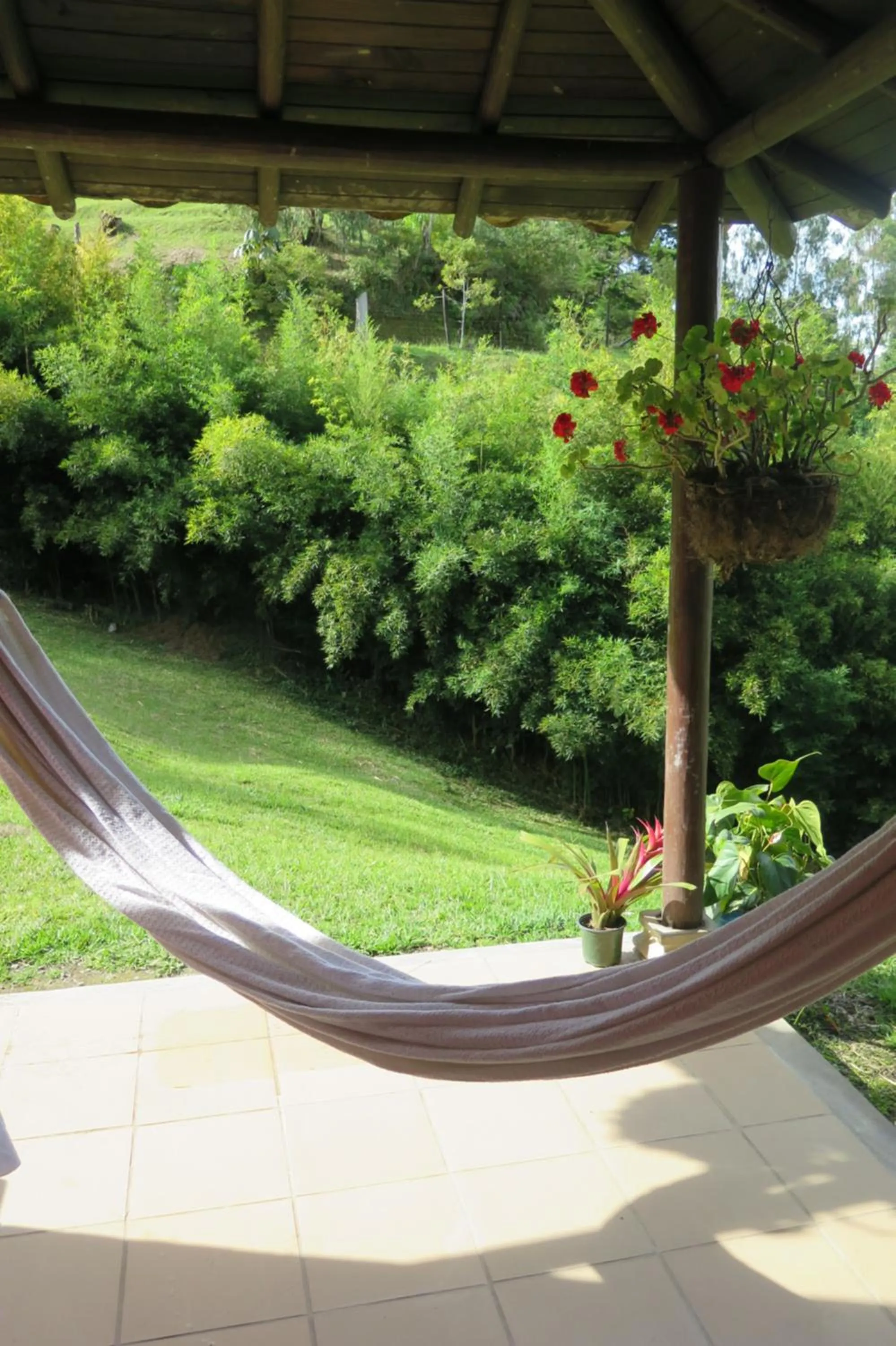 Balcony/Terrace in Ecolodge Bahia del Peñón