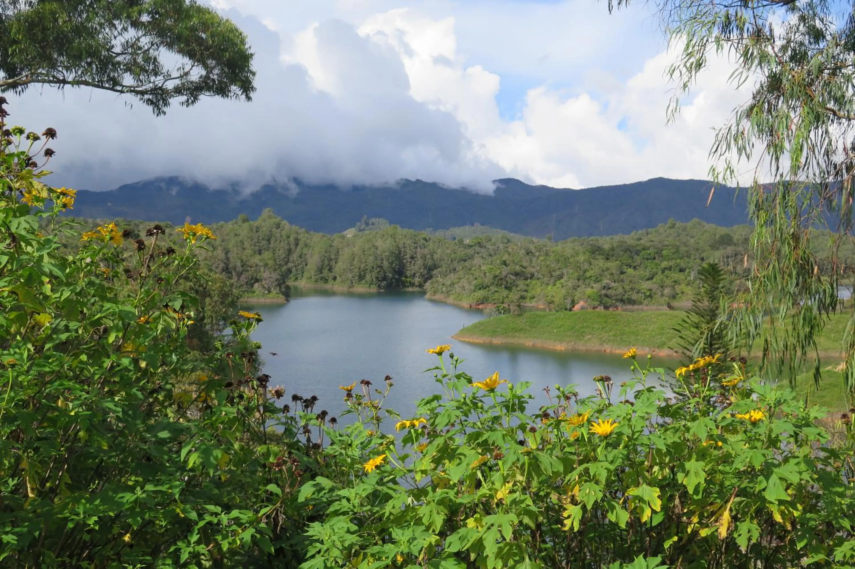 Mountain view in Ecolodge Bahia del Peñón