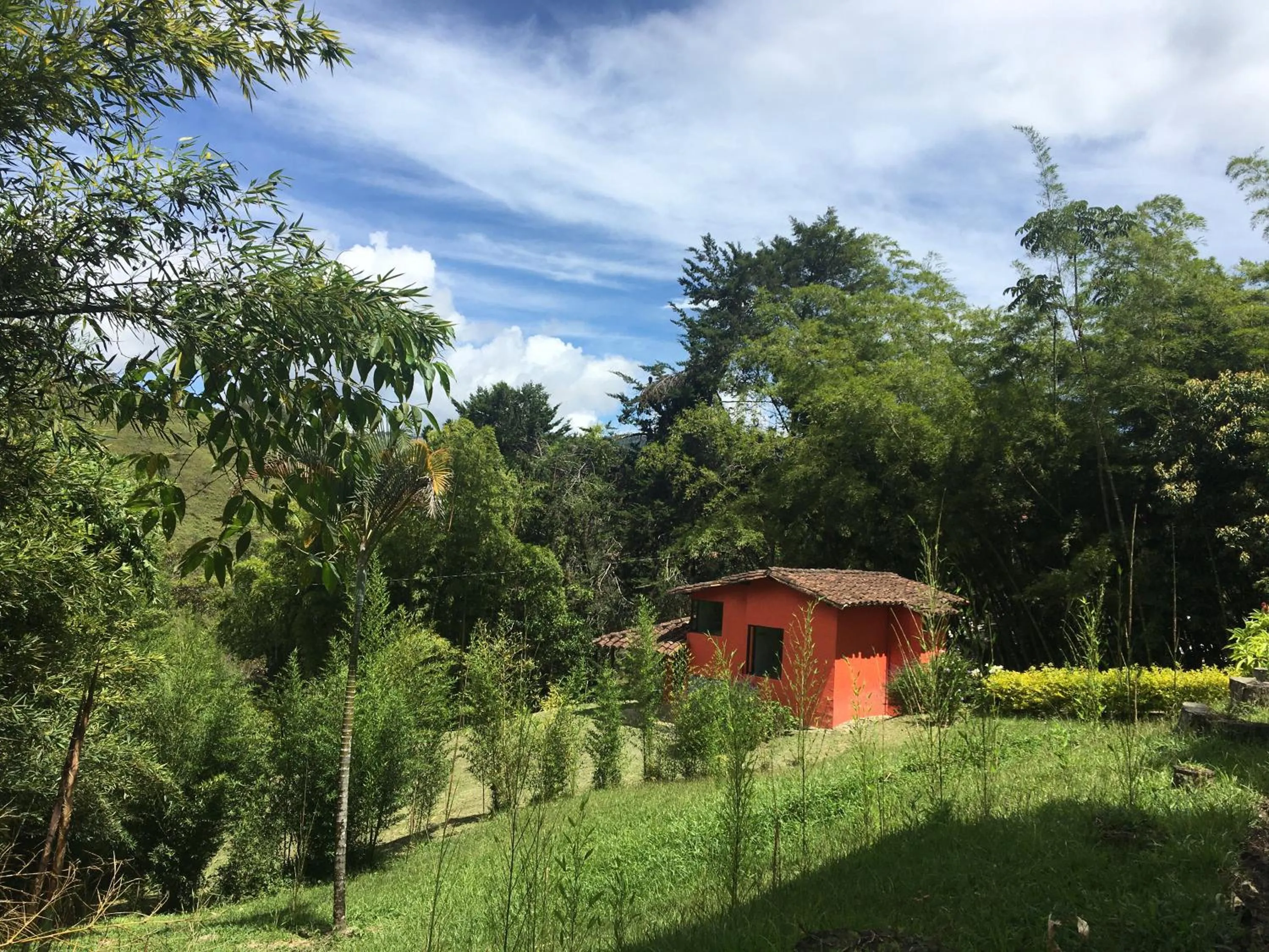 Photo of the whole room in Ecolodge Bahia del Peñón