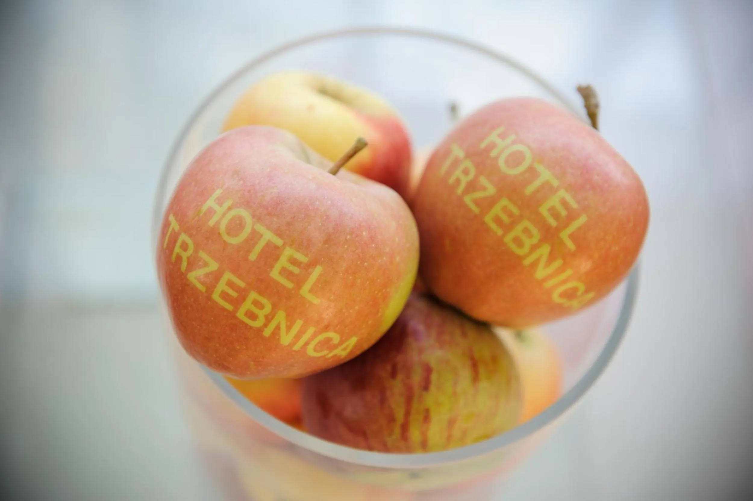 Food in Hotel Trzebnica