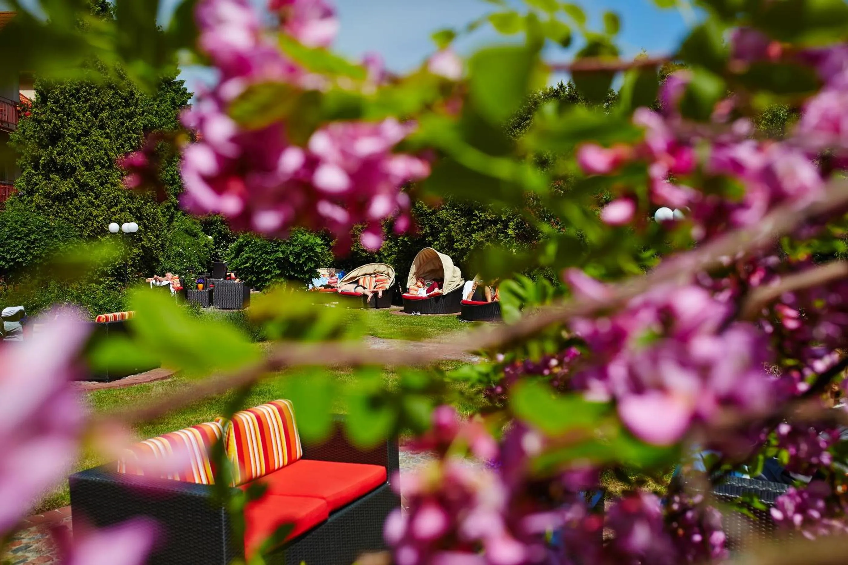 Garden in Kormoran Medispa